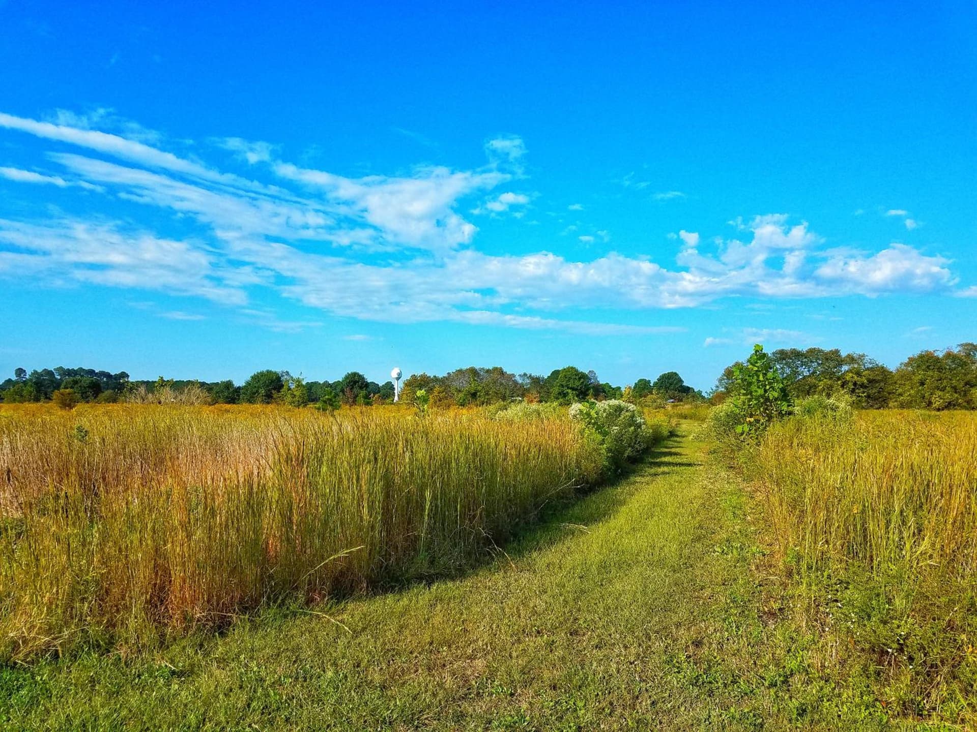 Sandaway Suites & Beach gallery photo in Oxford, MD — image 72