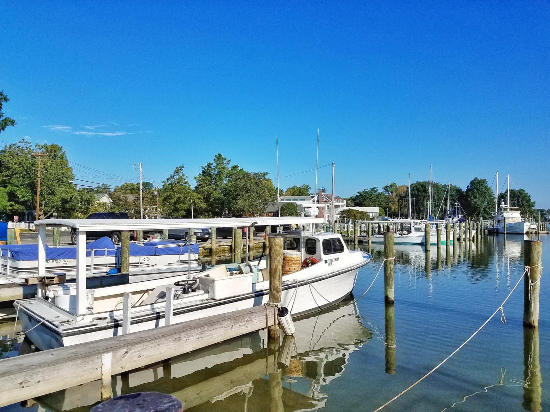 Sandaway Suites & Beach gallery photo in Oxford, MD — image 50