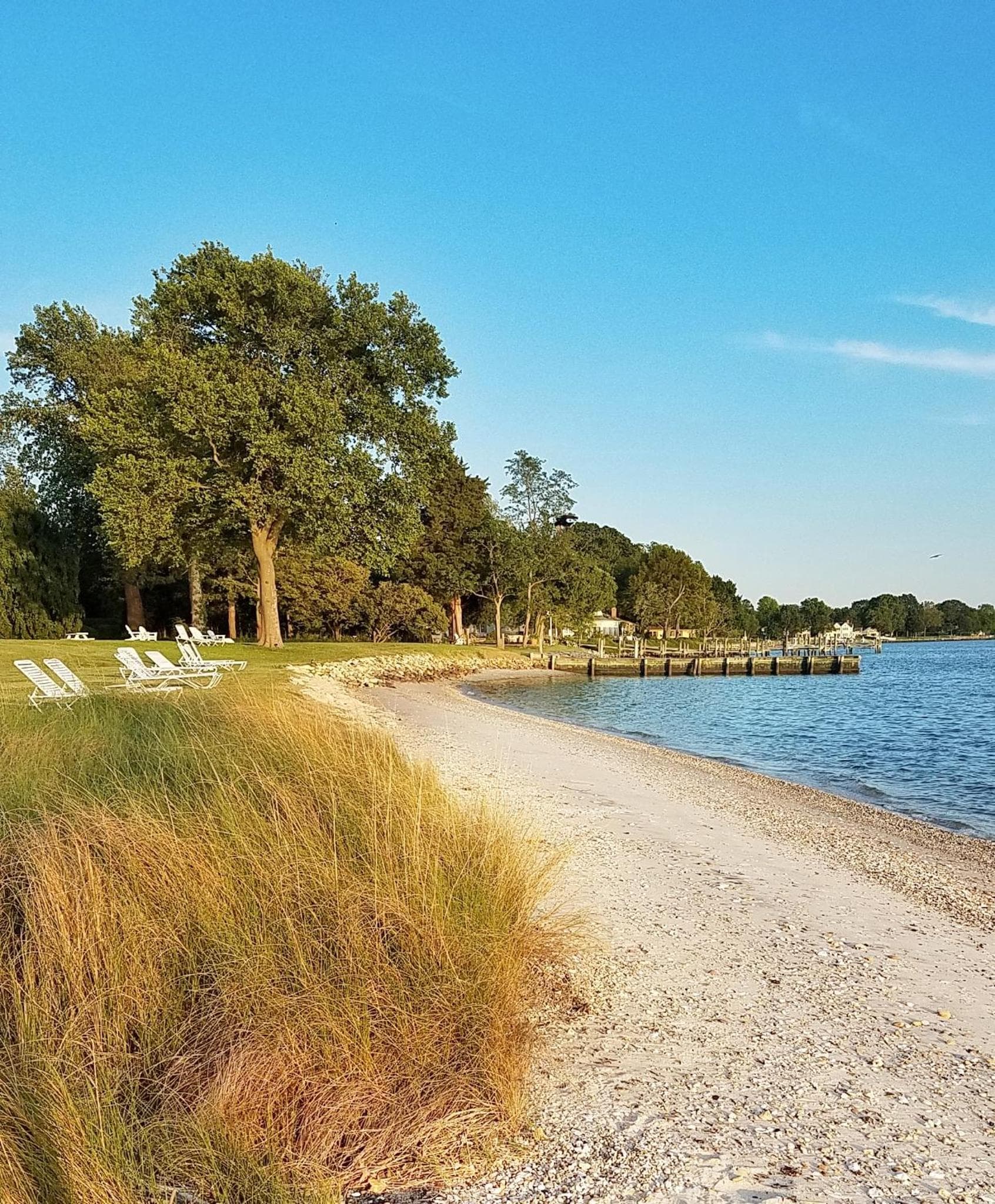 Sandaway Suites & Beach gallery photo in Oxford, MD — image 154