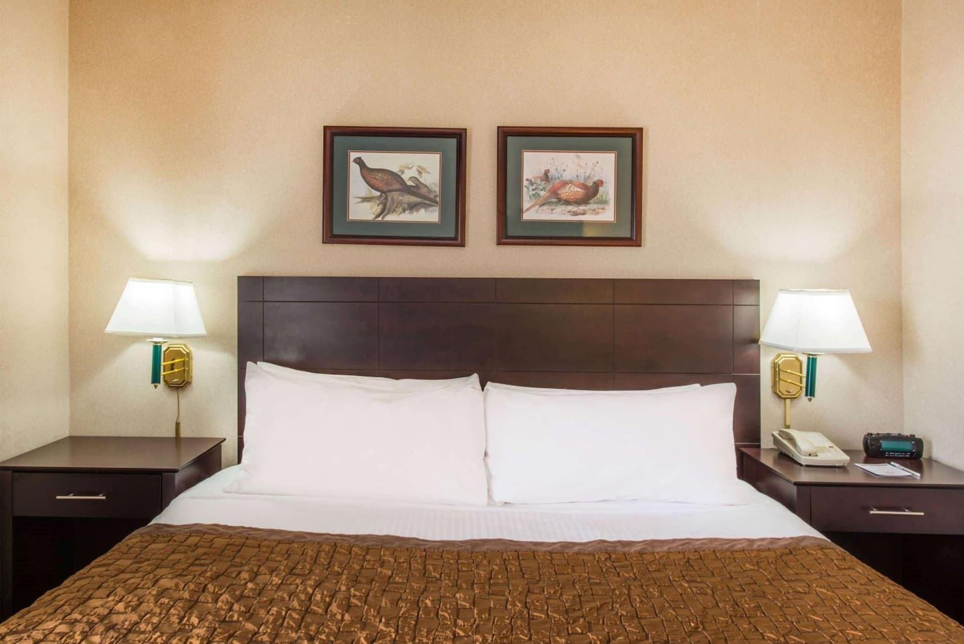Hawthorn Extended Stay by Wyndham El Paso gallery photo in El Paso, TX — image 11