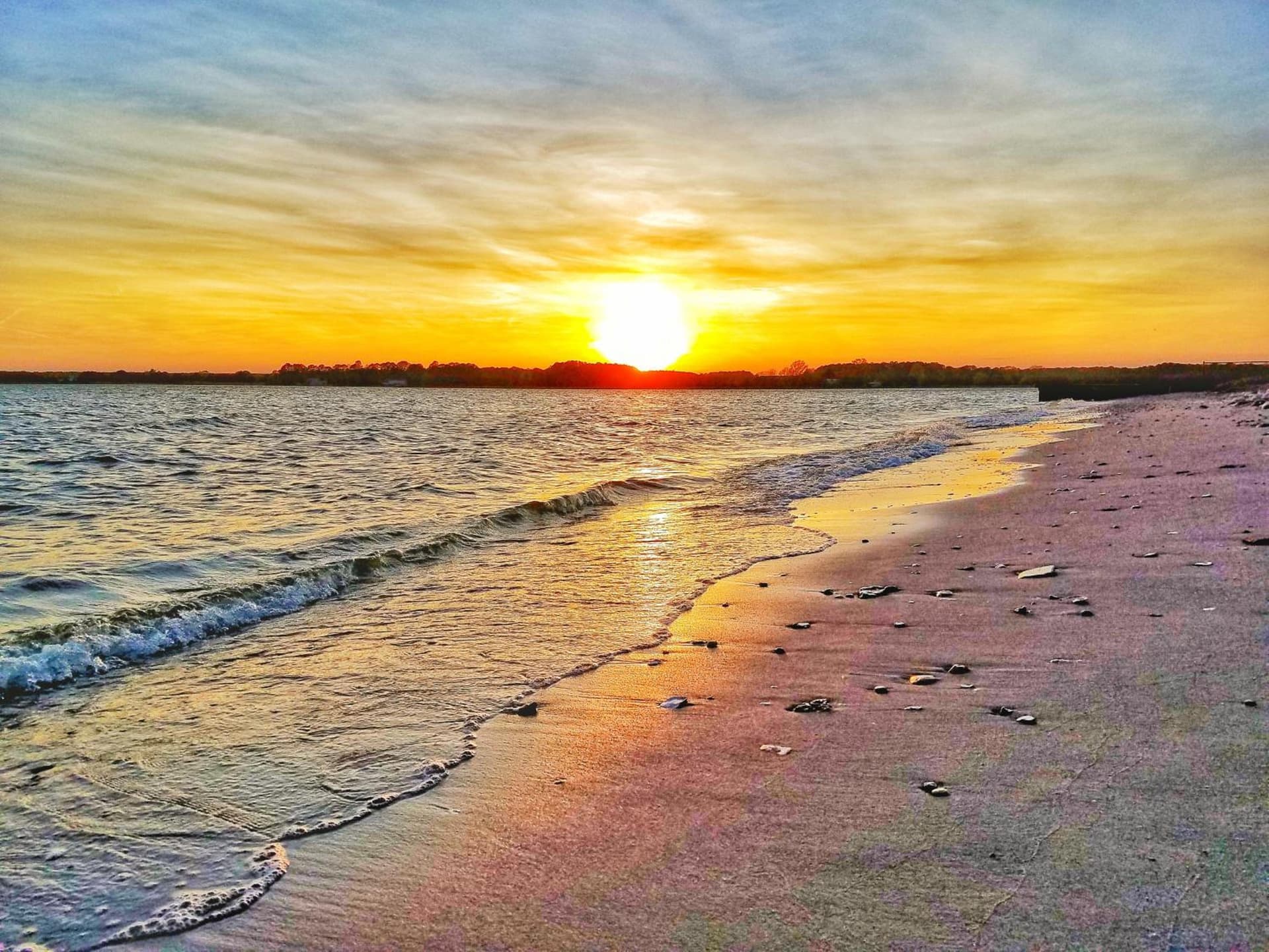 Sandaway Suites & Beach gallery photo in Oxford, MD — image 106