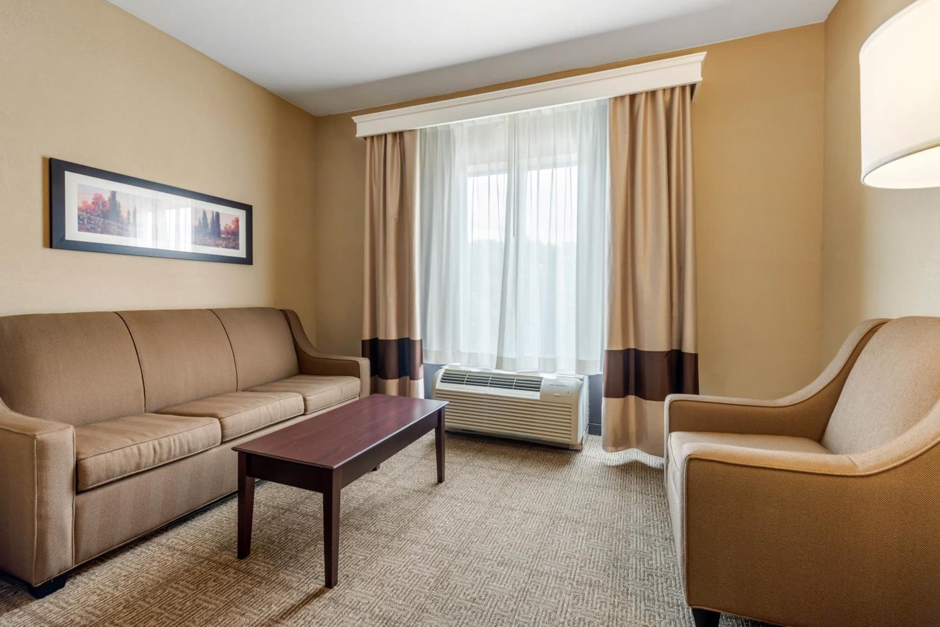 Comfort Suites near Route 66 gallery photo in Springfield, IL — image 30