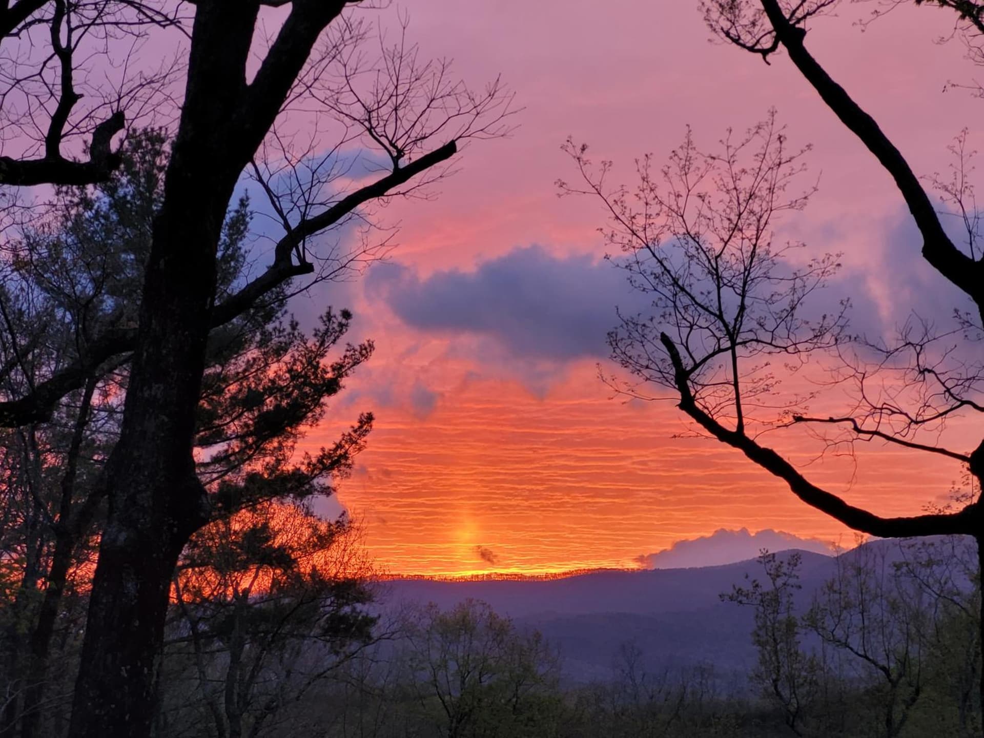 Barefoot Hills gallery photo in Dahlonega, GA — image 62