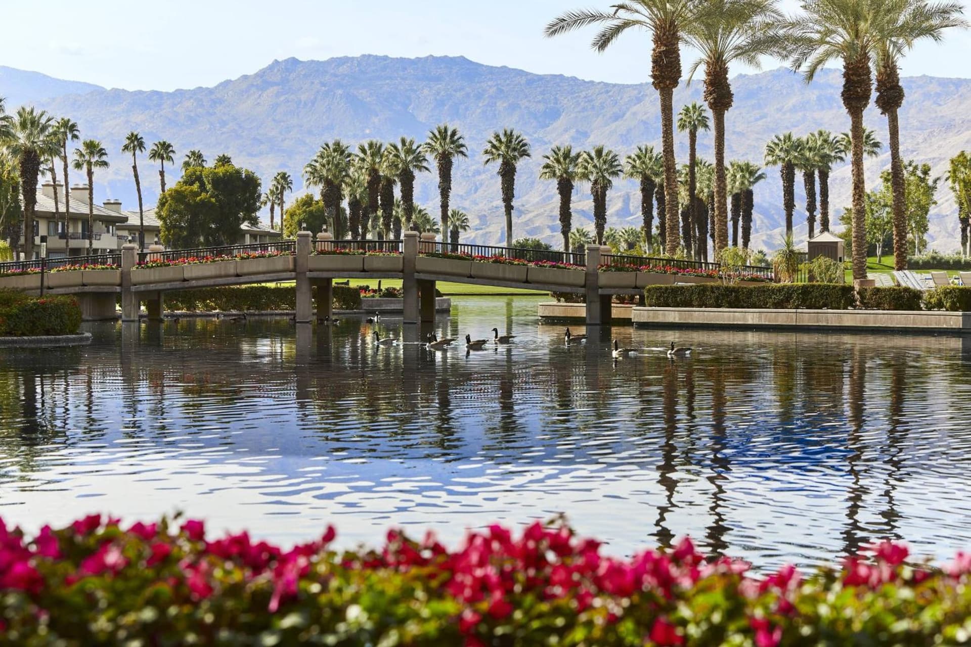 JW Marriott Desert Springs Resort & Spa gallery photo in Palm Desert, CA — image 110