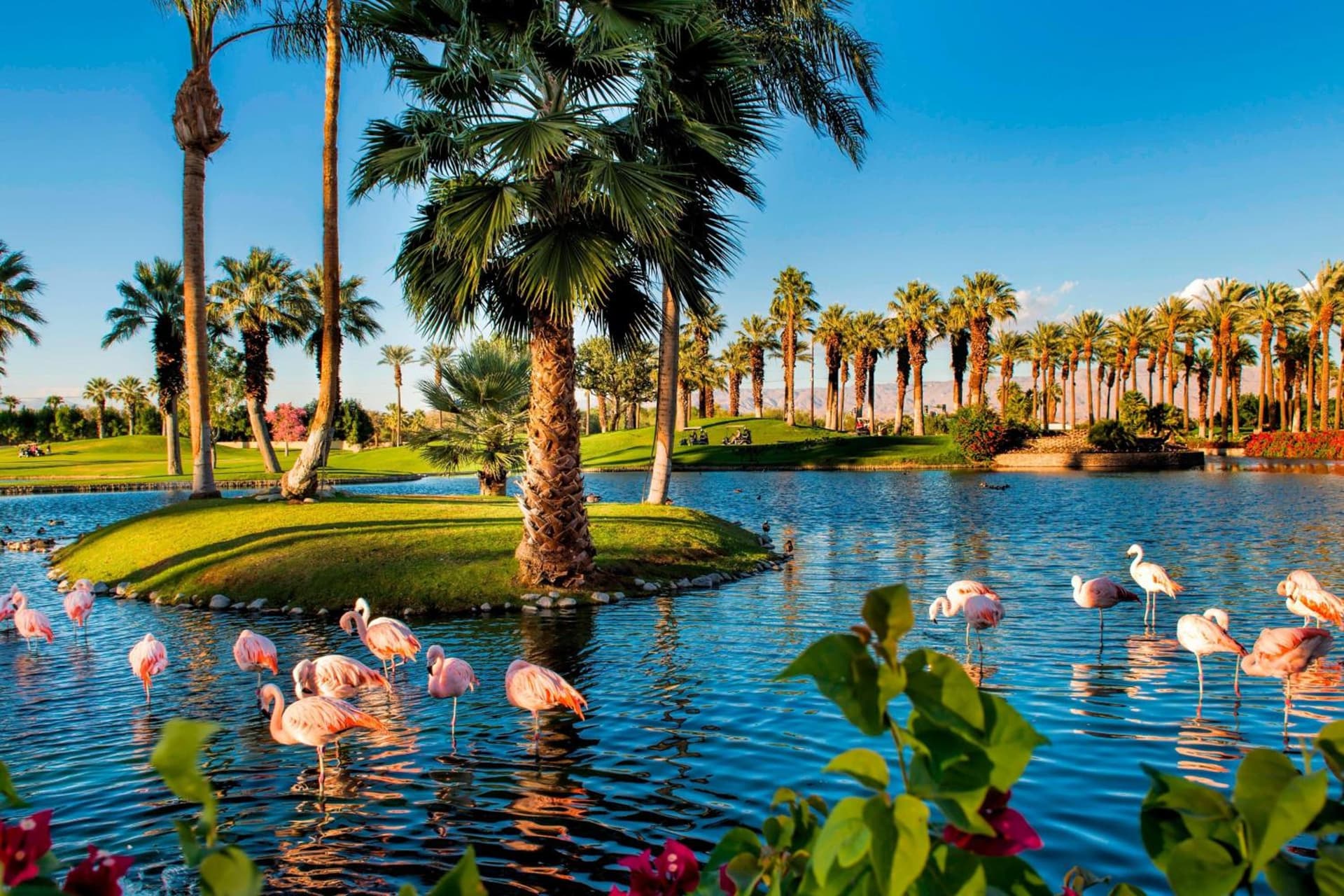 JW Marriott Desert Springs Resort & Spa gallery photo in Palm Desert, CA — image 178