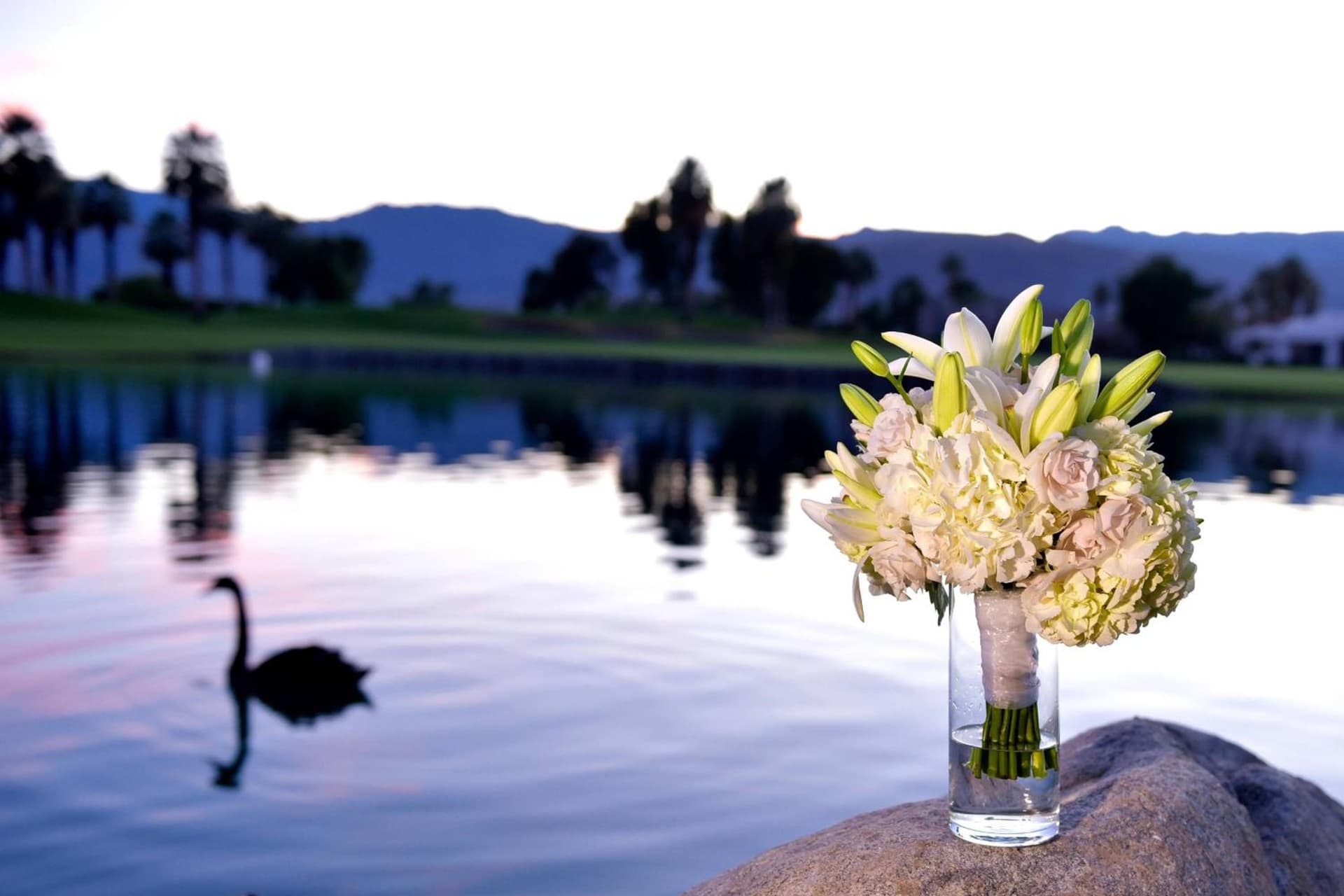 JW Marriott Desert Springs Resort & Spa gallery photo in Palm Desert, CA — image 149