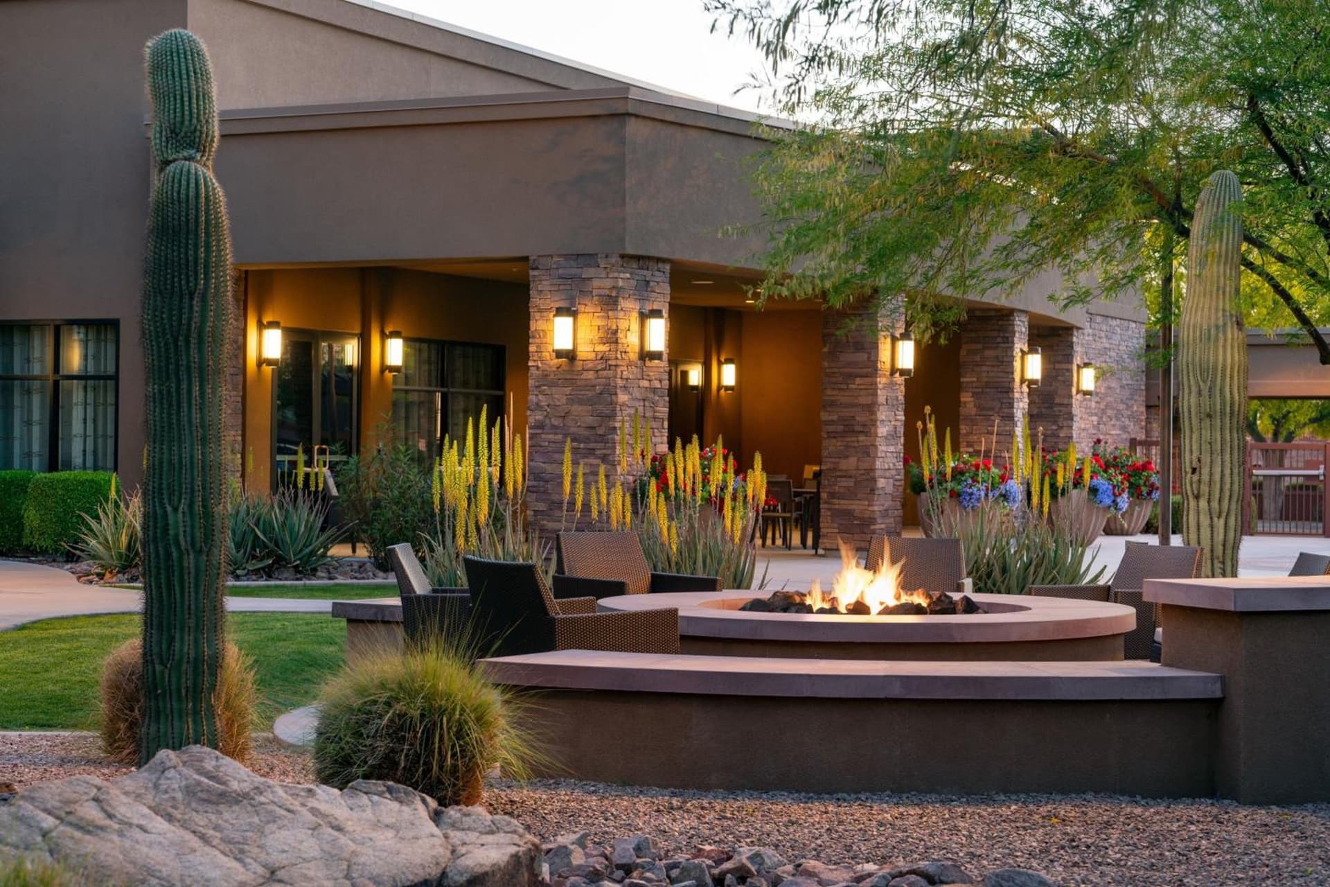 Courtyard by Marriott Scottsdale Salt River gallery photo in Scottsdale, AZ — image 55