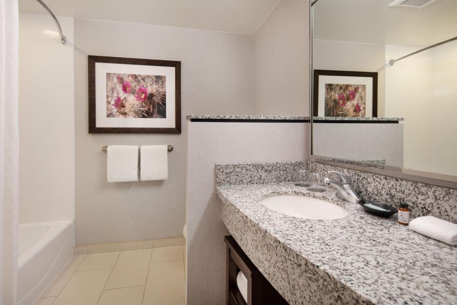 Courtyard by Marriott Scottsdale Salt River gallery photo in Scottsdale, AZ — image 50