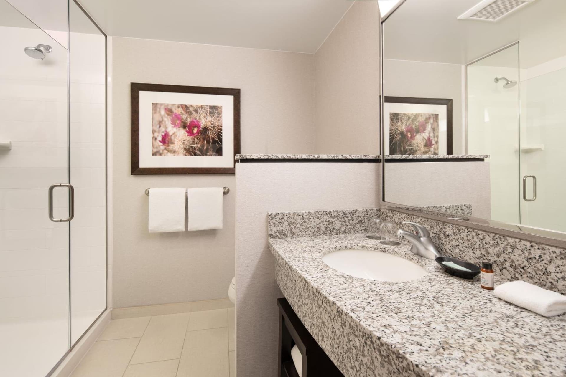 Courtyard by Marriott Scottsdale Salt River gallery photo in Scottsdale, AZ — image 9
