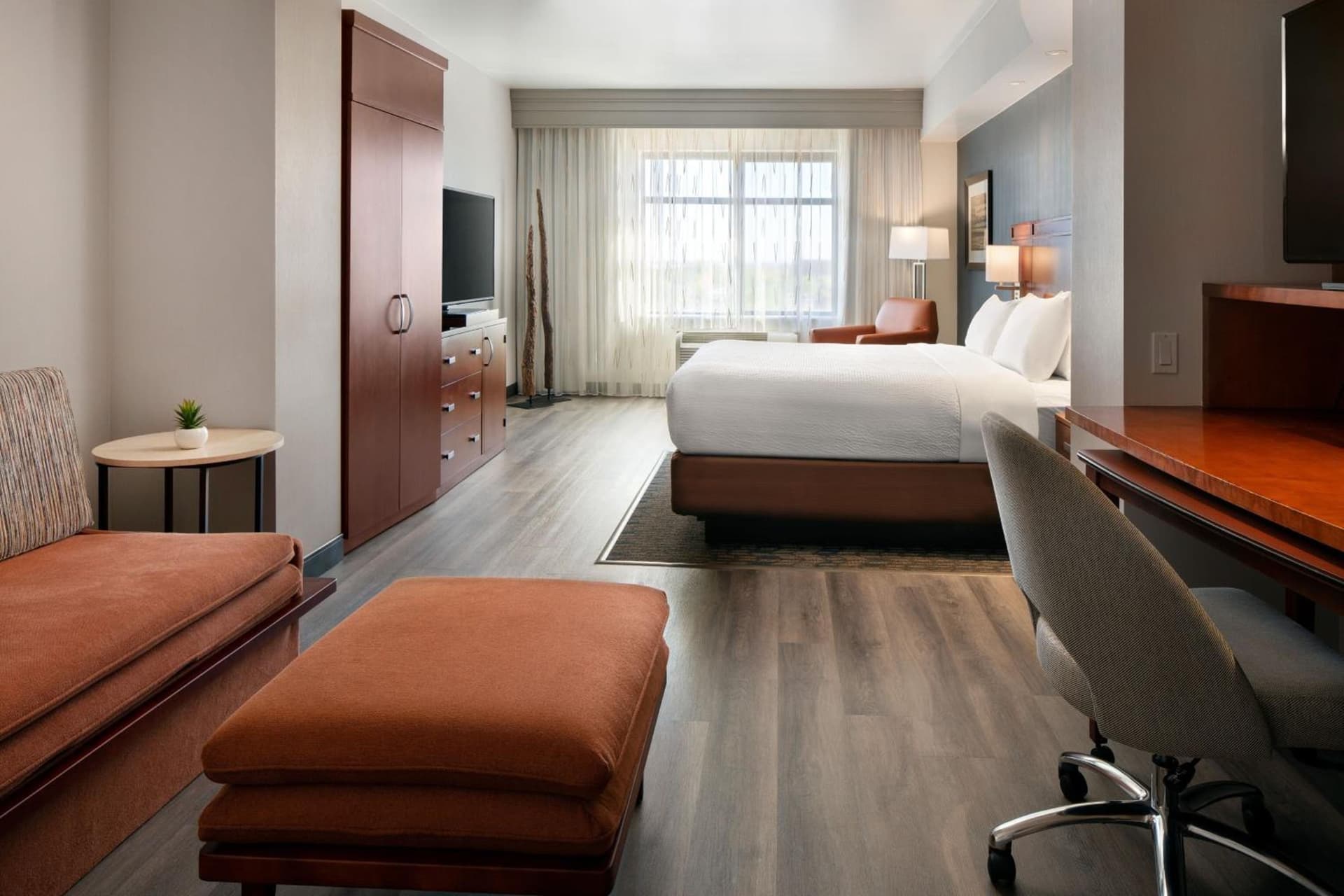 Courtyard by Marriott Scottsdale Salt River gallery photo in Scottsdale, AZ — image 4