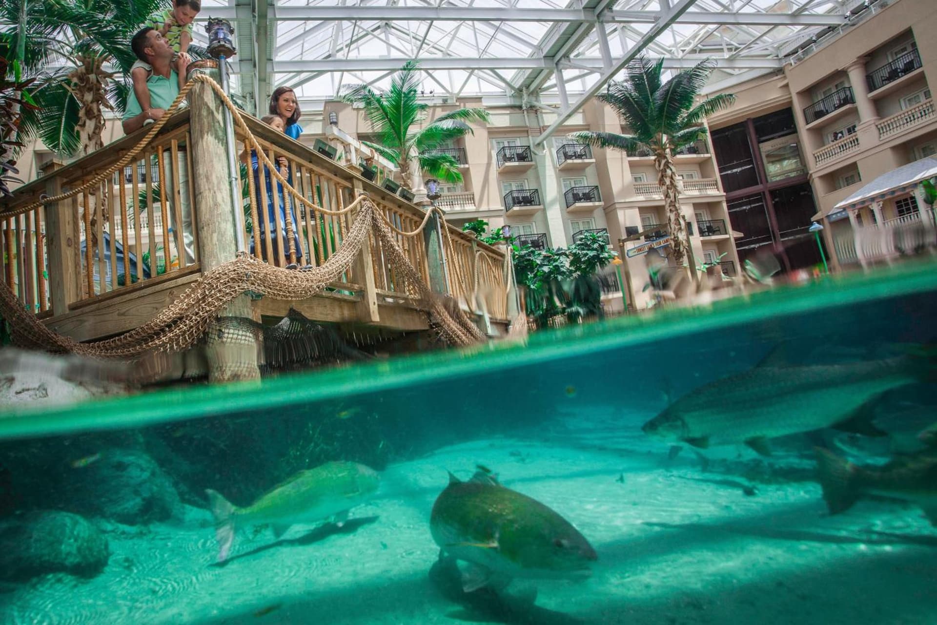 Gaylord Palms Resort & Convention Center gallery photo in Orlando, FL — image 47
