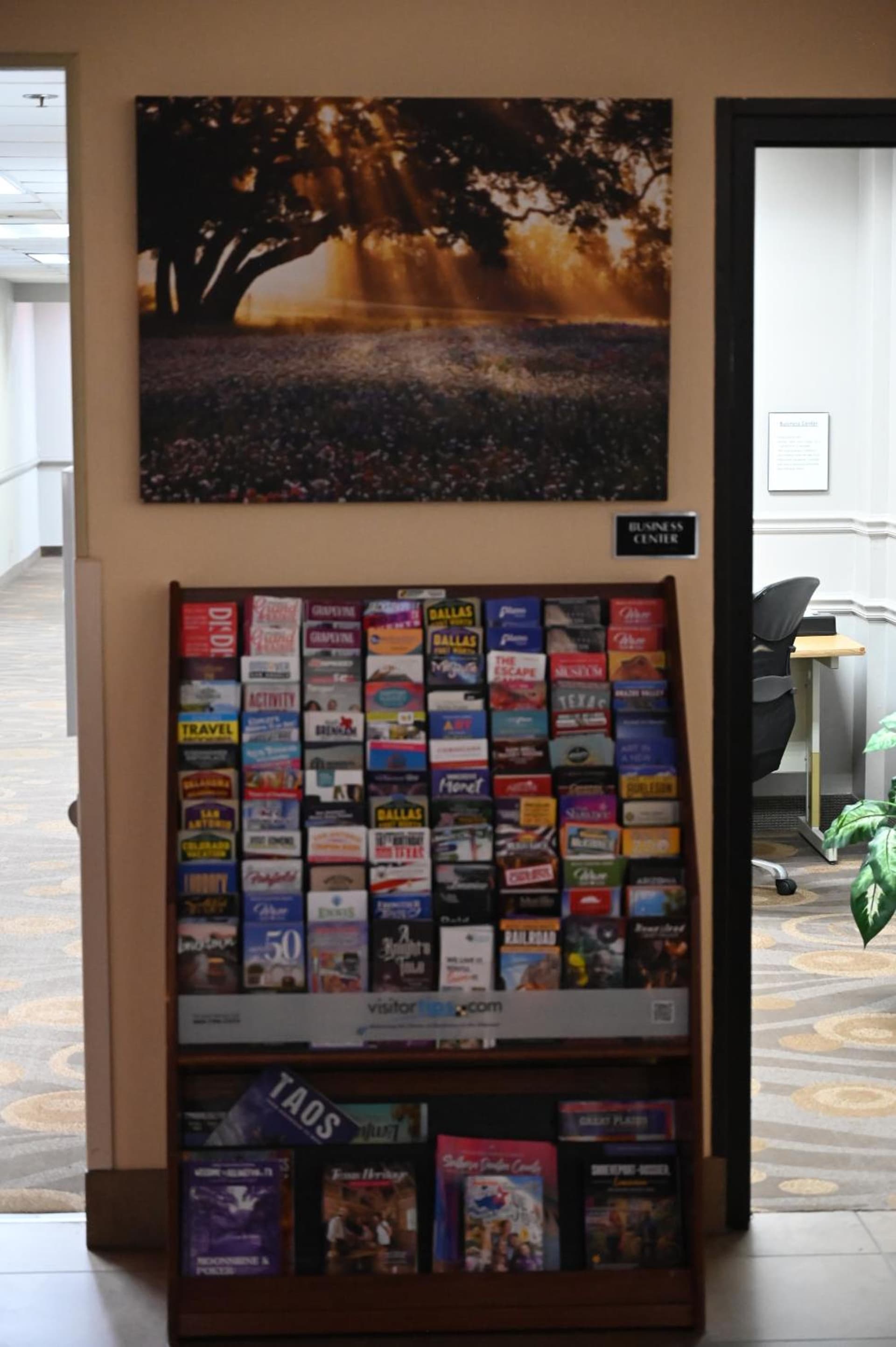 Atrium Hotel and Suites DFW Airport gallery photo in Irving, TX — image 57