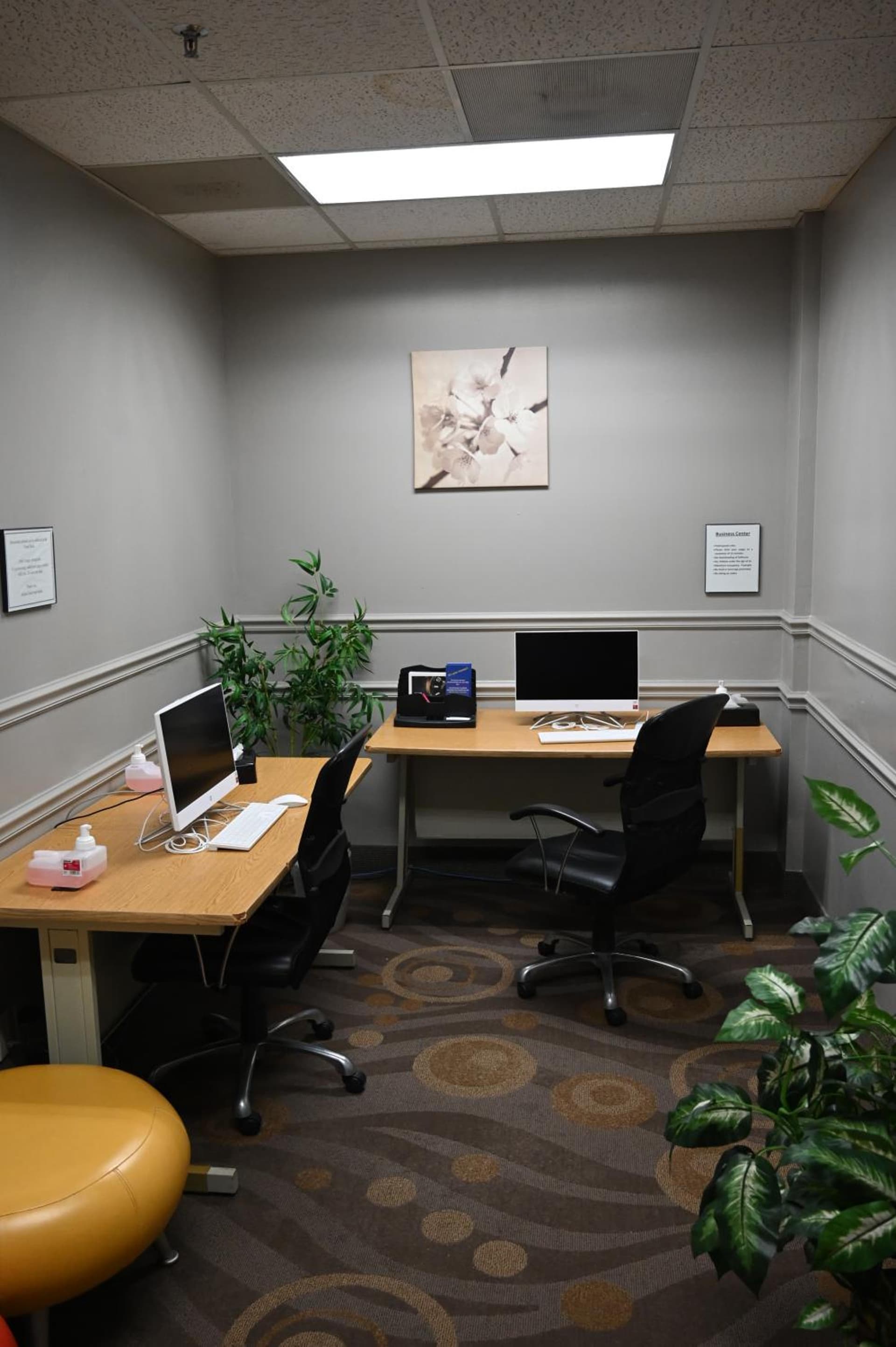 Atrium Hotel and Suites DFW Airport gallery photo in Irving, TX — image 63