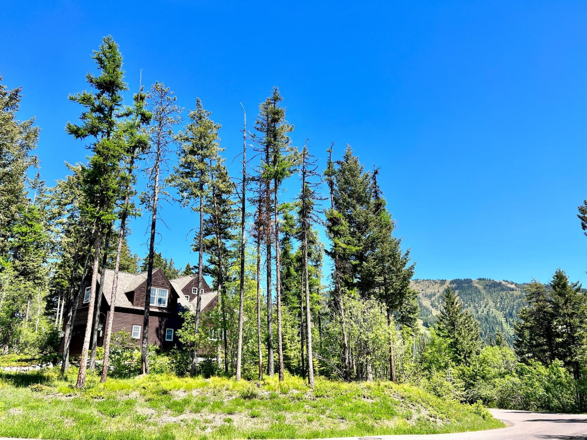 Brown Bear Chalet property views in Whitefish, MT — gallery photo 3