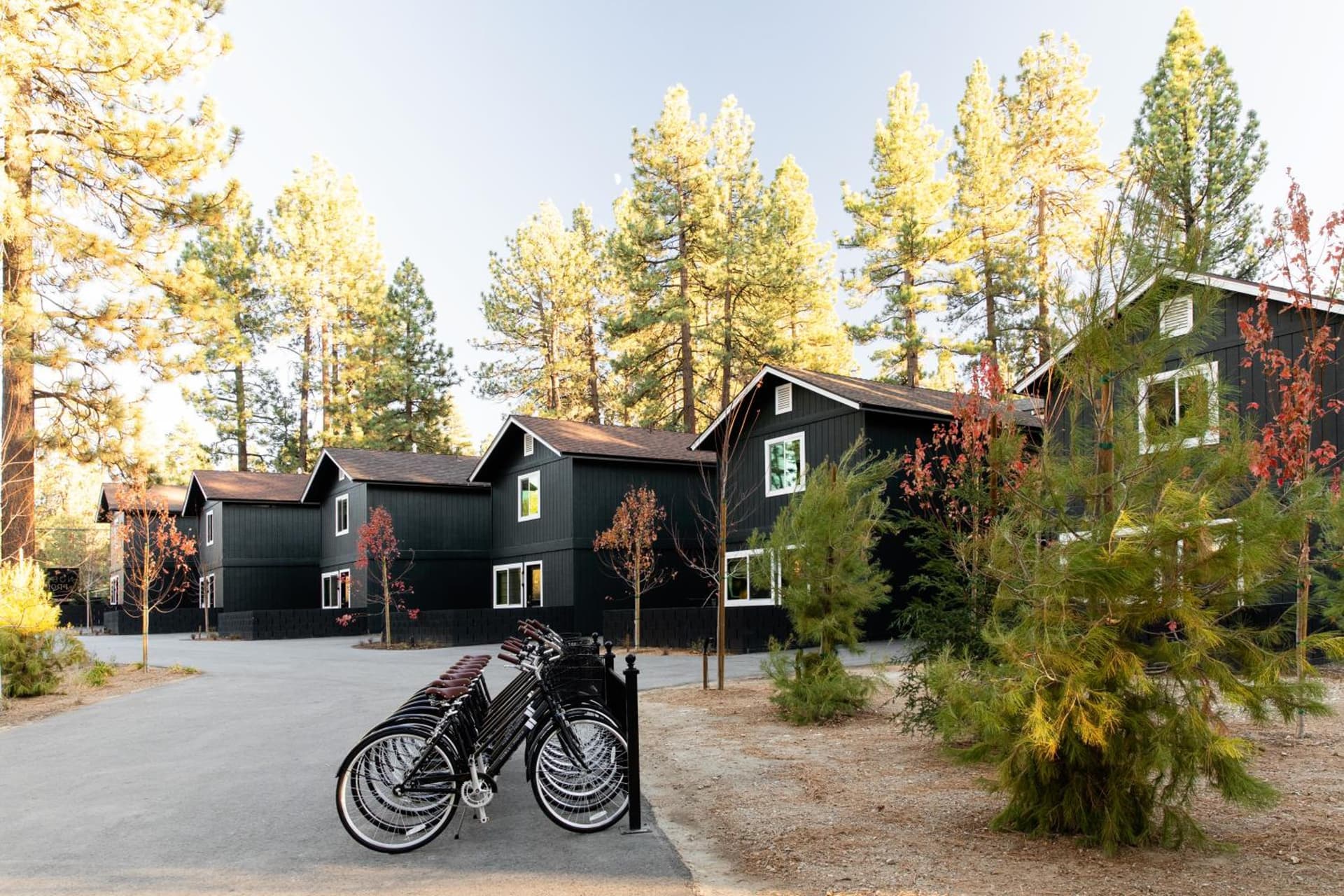 NP Boutique Lodge property views in Big Bear Lake, CA — gallery photo 3