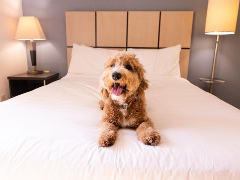 Candlewood Suites Wichita - Airport by IHG gallery photo in Wichita, KS — image 6