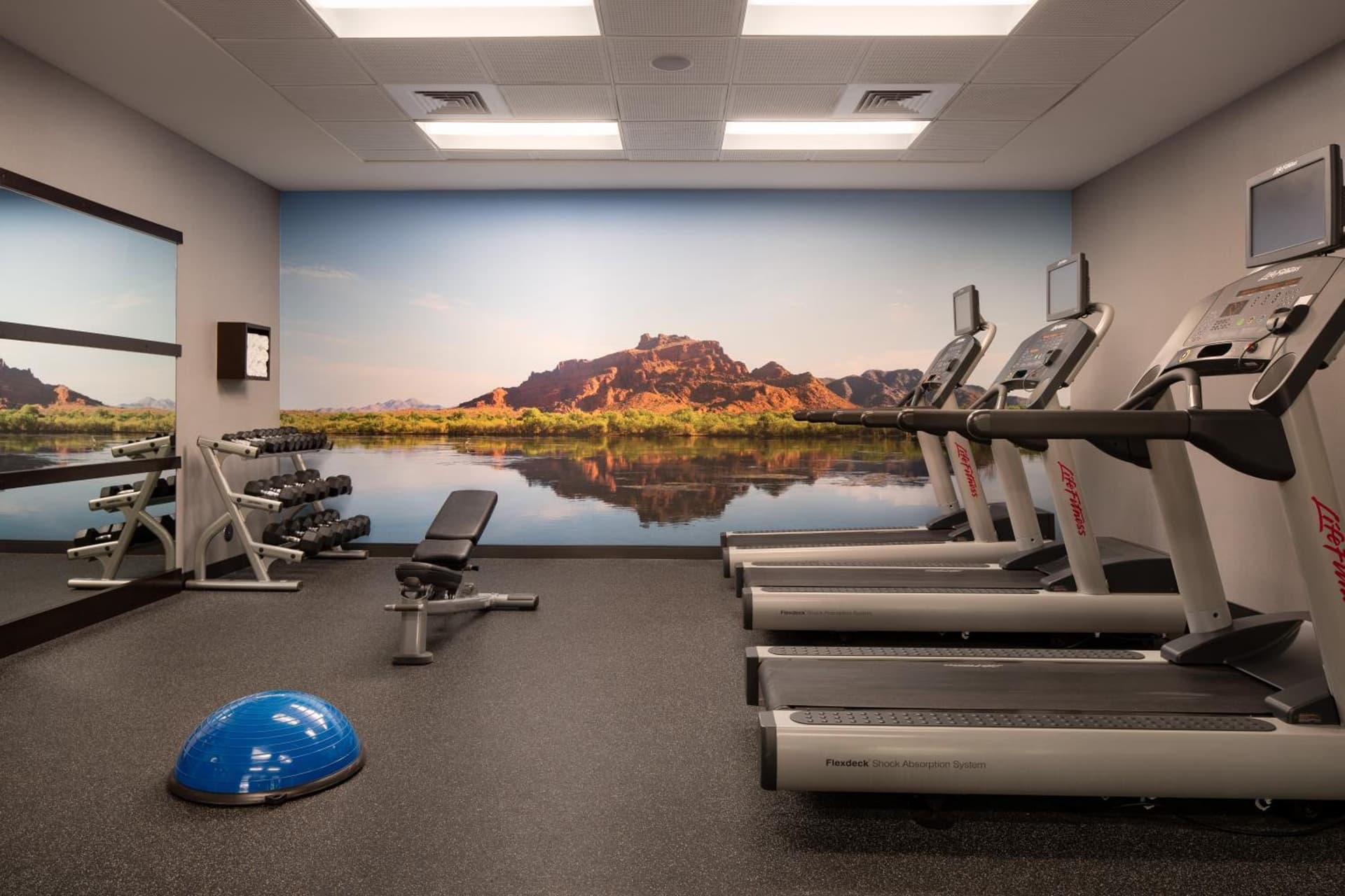 Courtyard by Marriott Scottsdale Salt River gallery photo in Scottsdale, AZ — image 20
