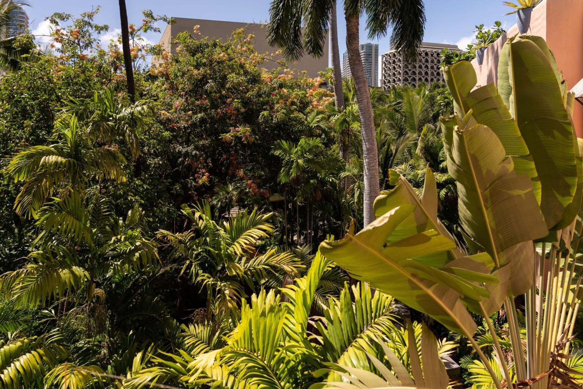 The Royal Hawaiian, A Luxury Collection Resort, Waikiki gallery photo in Honolulu, HI — image 25