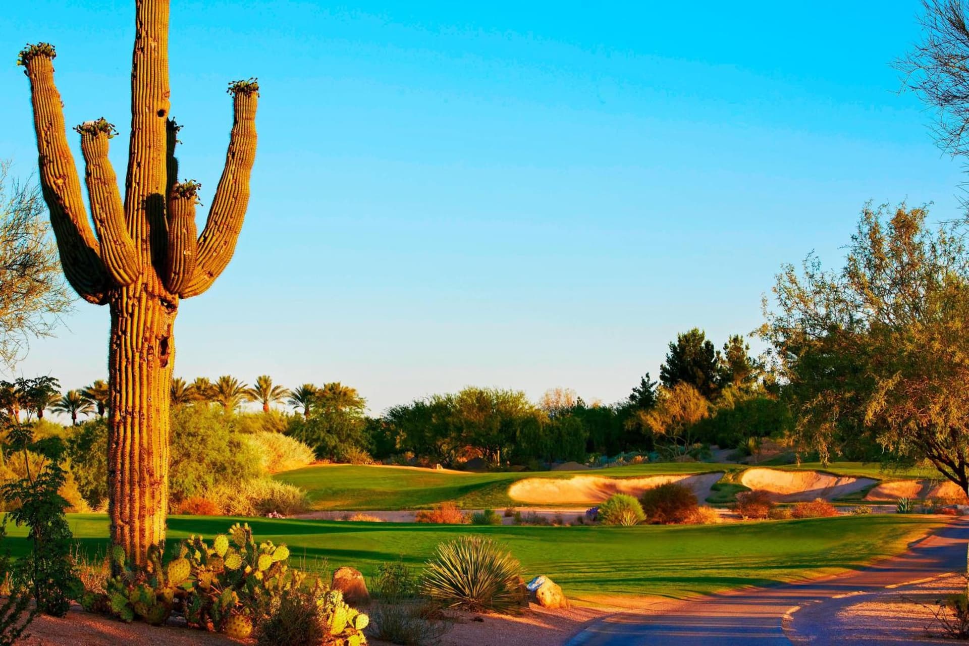 JW Marriott Phoenix Desert Ridge Resort & Spa gallery photo in Phoenix, AZ — image 38