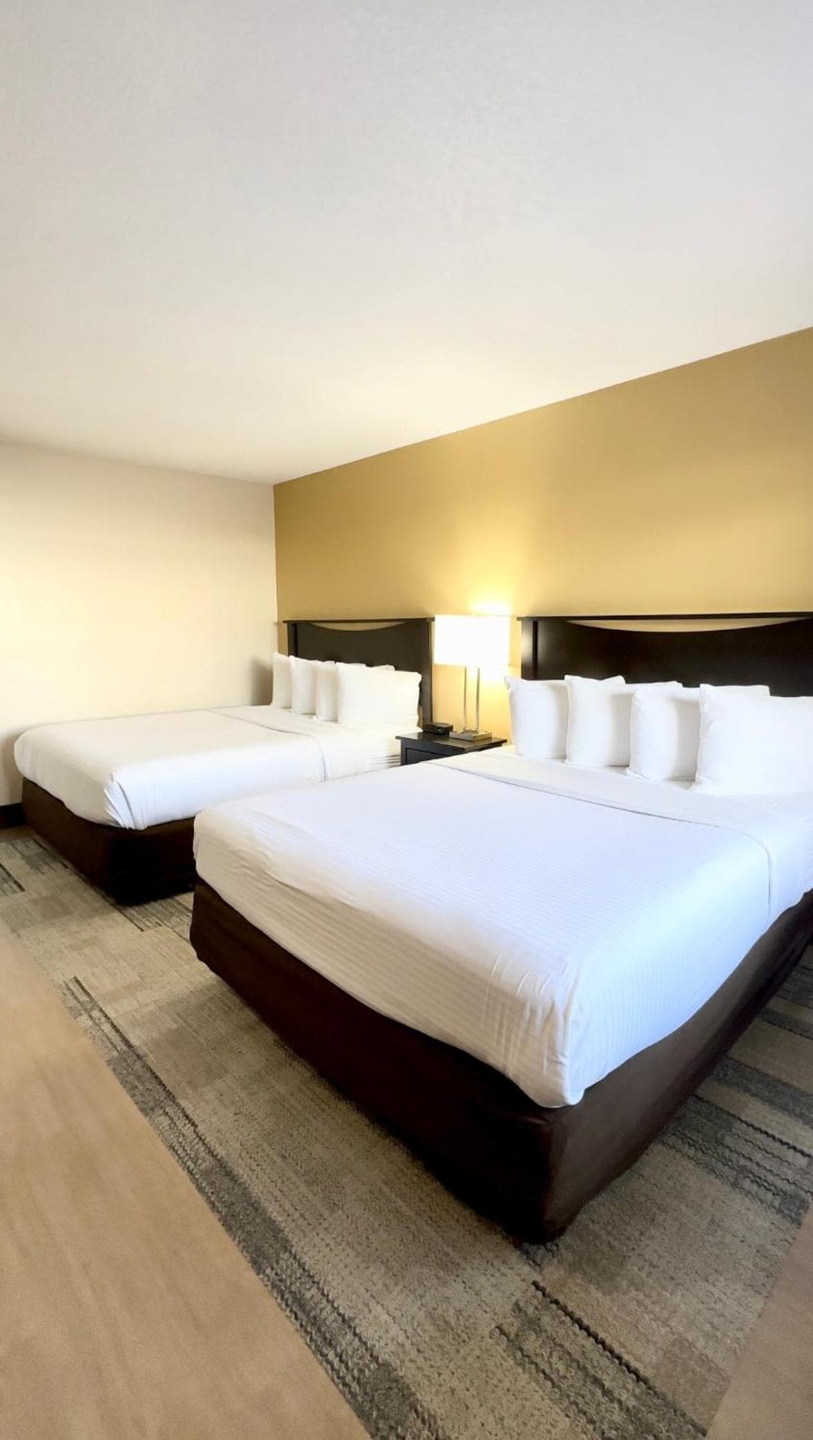 Stanford Inn & Suites Anaheim gallery photo in Anaheim, CA — image 26