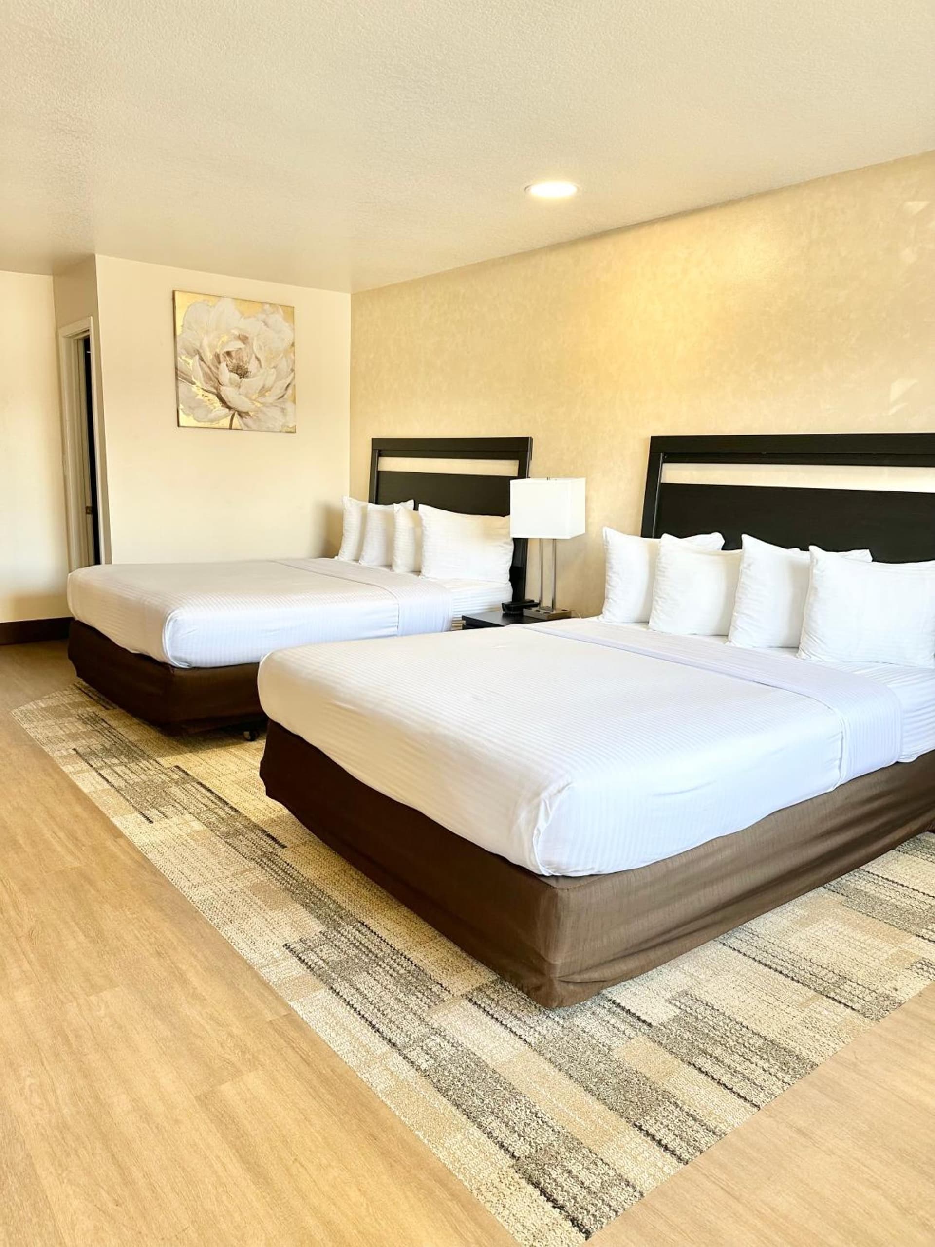 Stanford Inn & Suites Anaheim gallery photo in Anaheim, CA — image 39