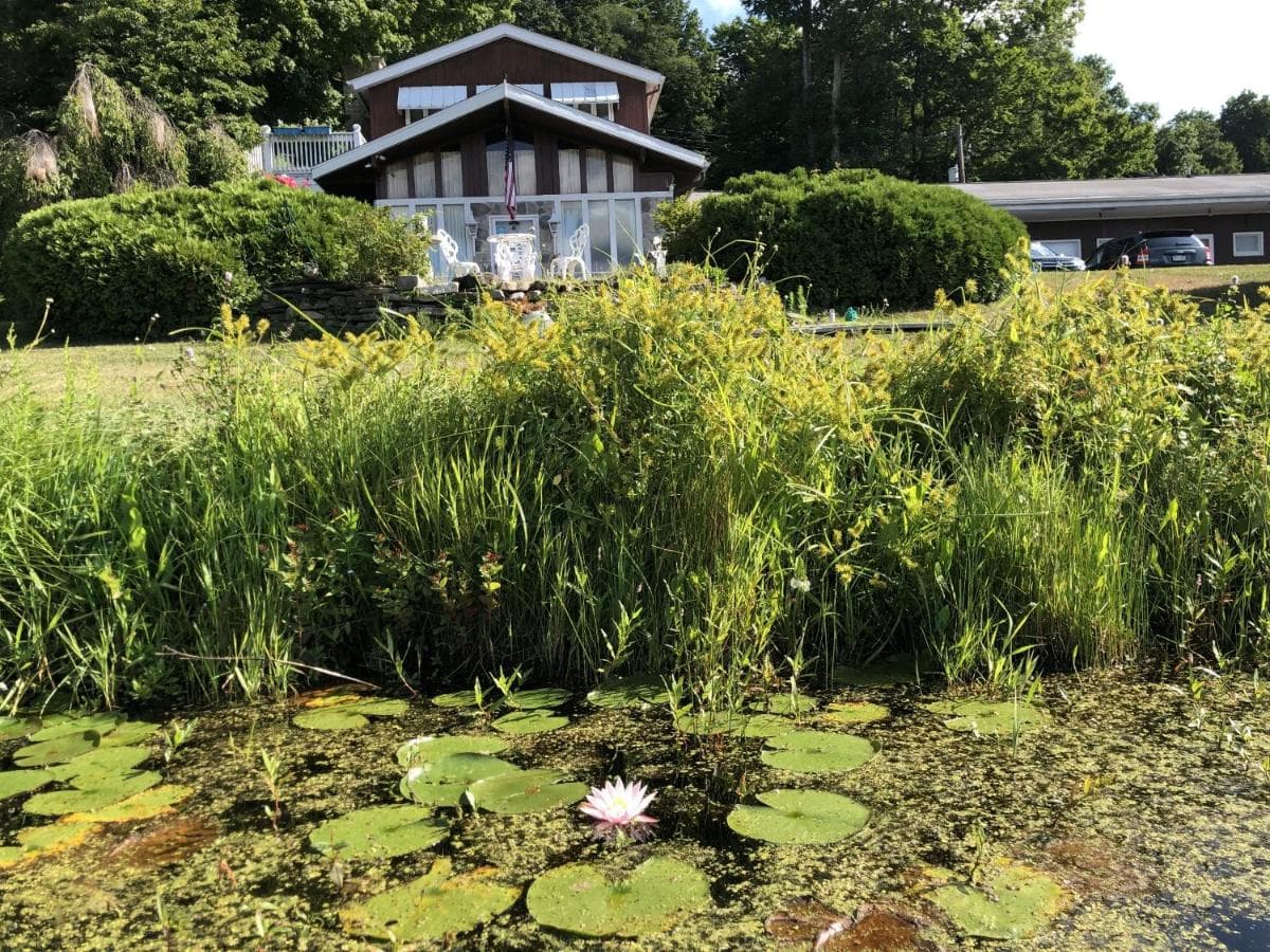 Lake Moc A Tek Inn gallery photo in Lakeville — image 5