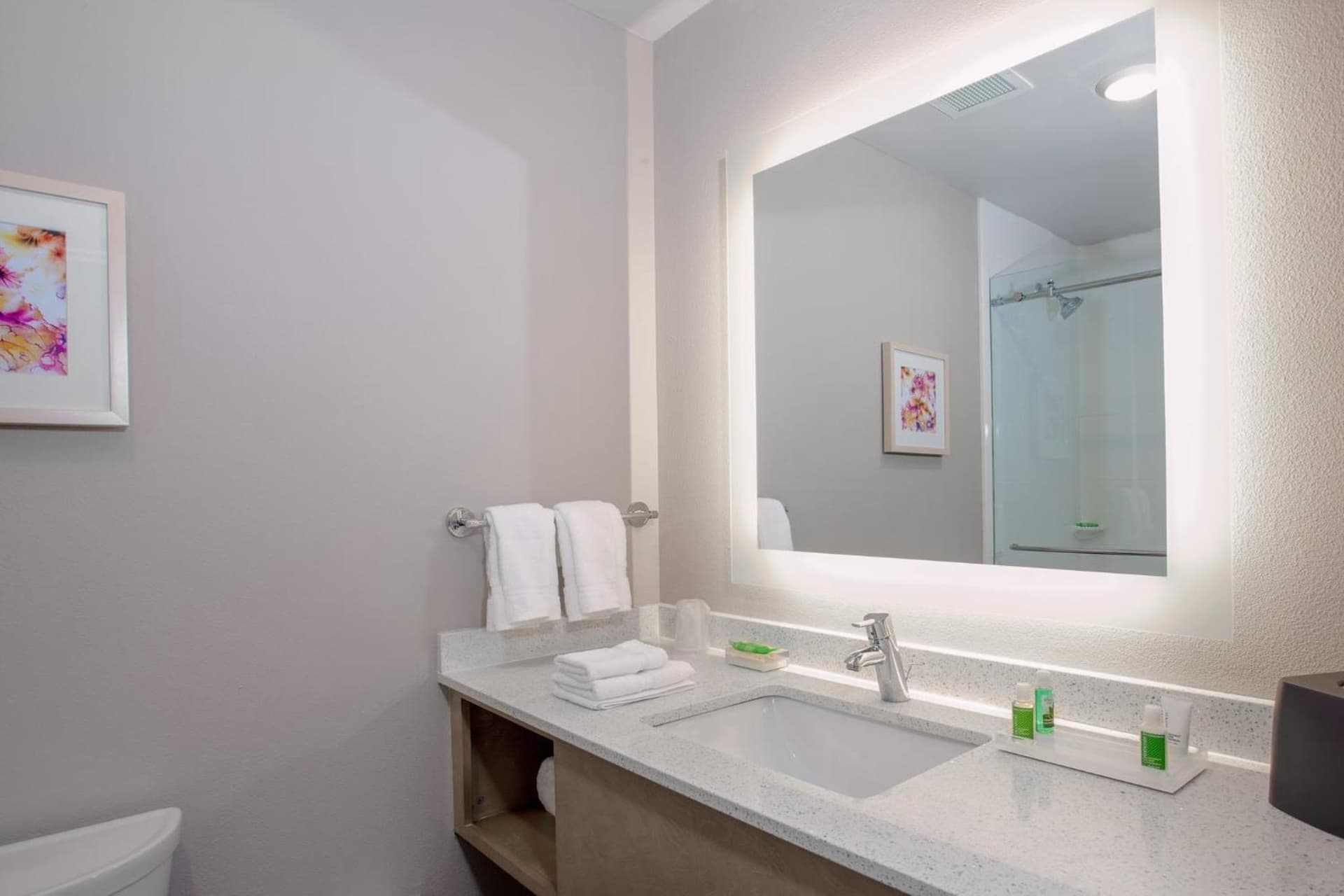 Holiday Inn - Tallahassee E Capitol - Univ by IHG gallery photo in Tallahassee, FL — image 34