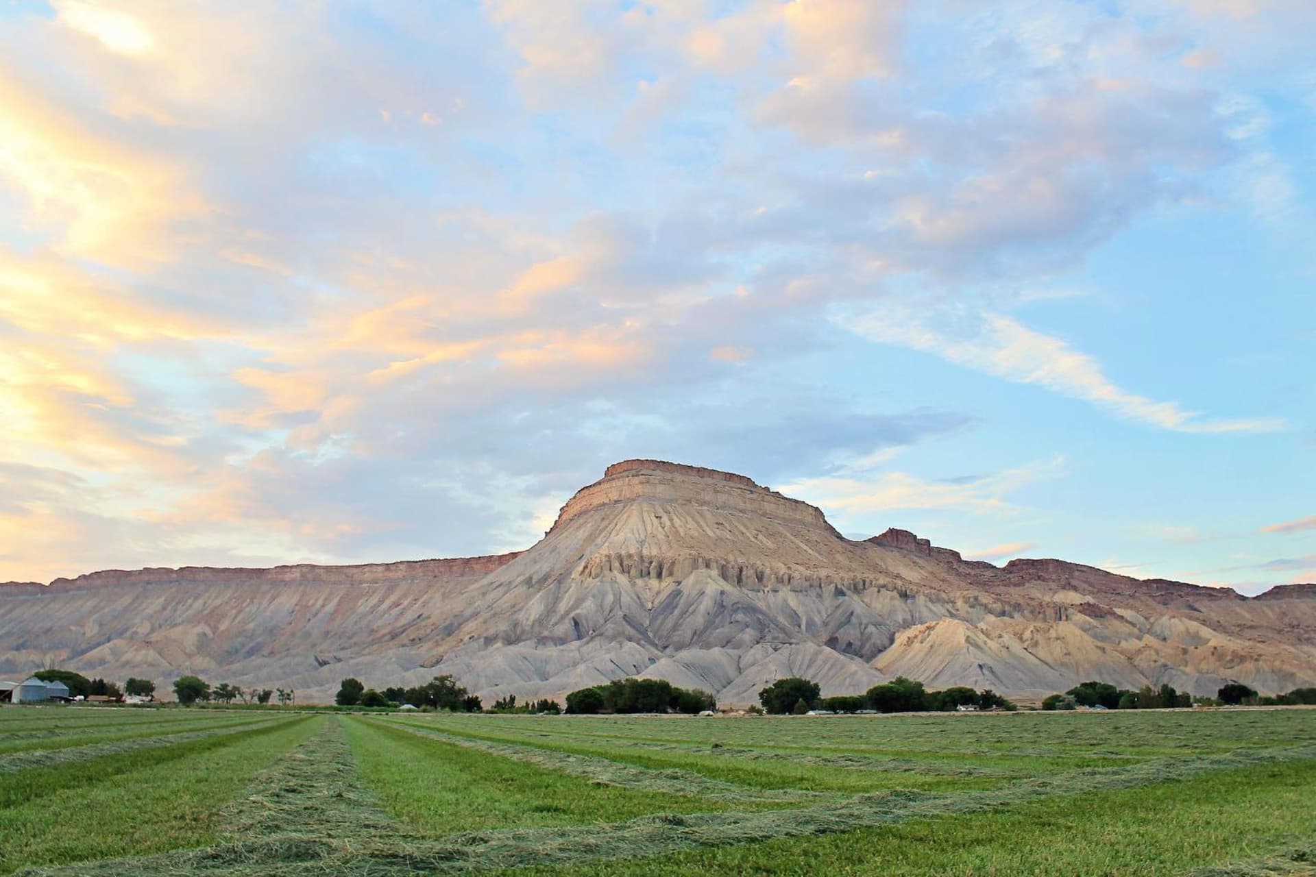 Holiday Inn Express Hotel & Suites Grand Junction by IHG gallery photo in Grand Junction, CO — image 37
