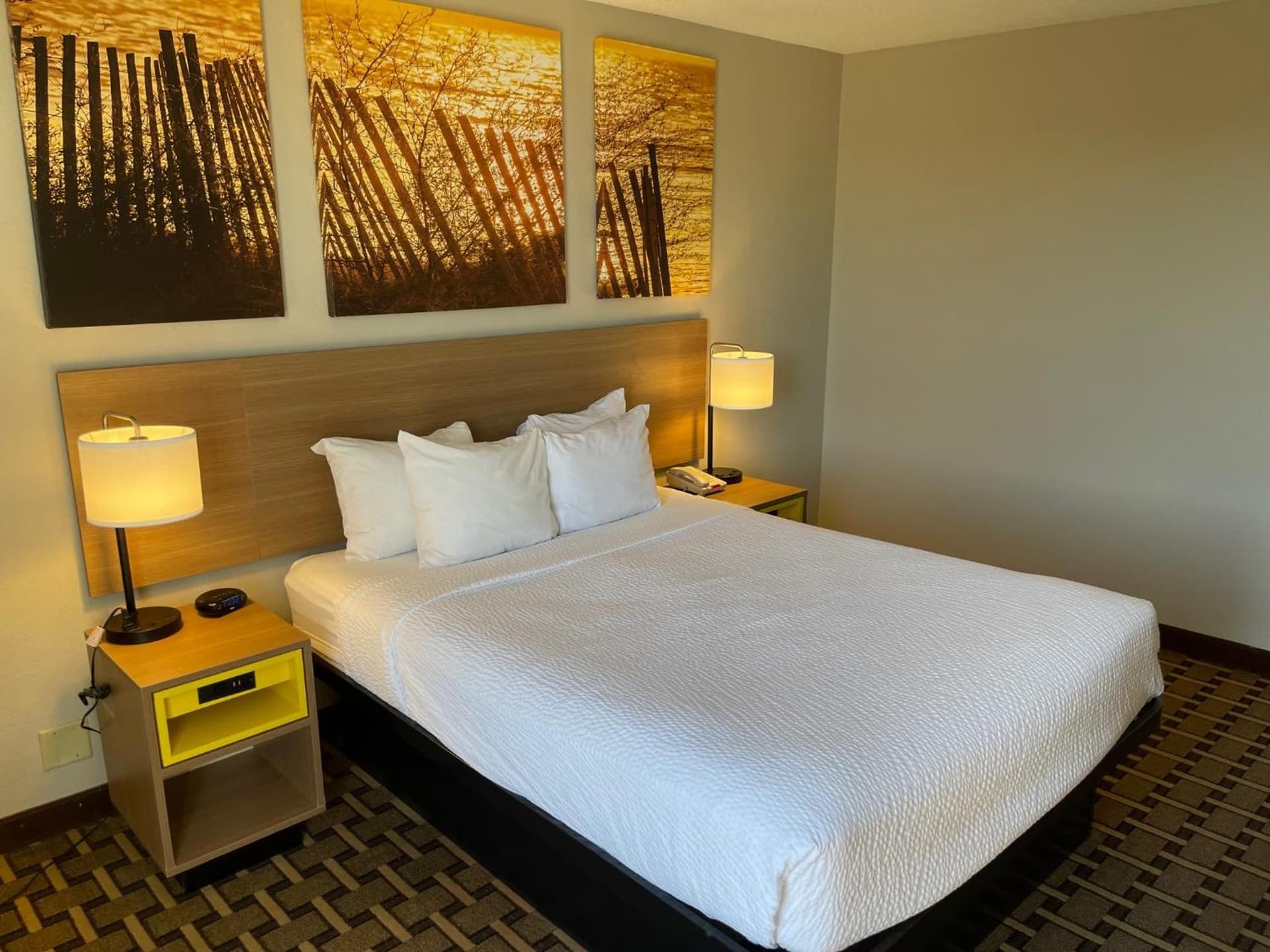 Days Inn by Wyndham Fayetteville-South/I-95 Exit 49 gallery photo in Fayetteville, NC — image 29