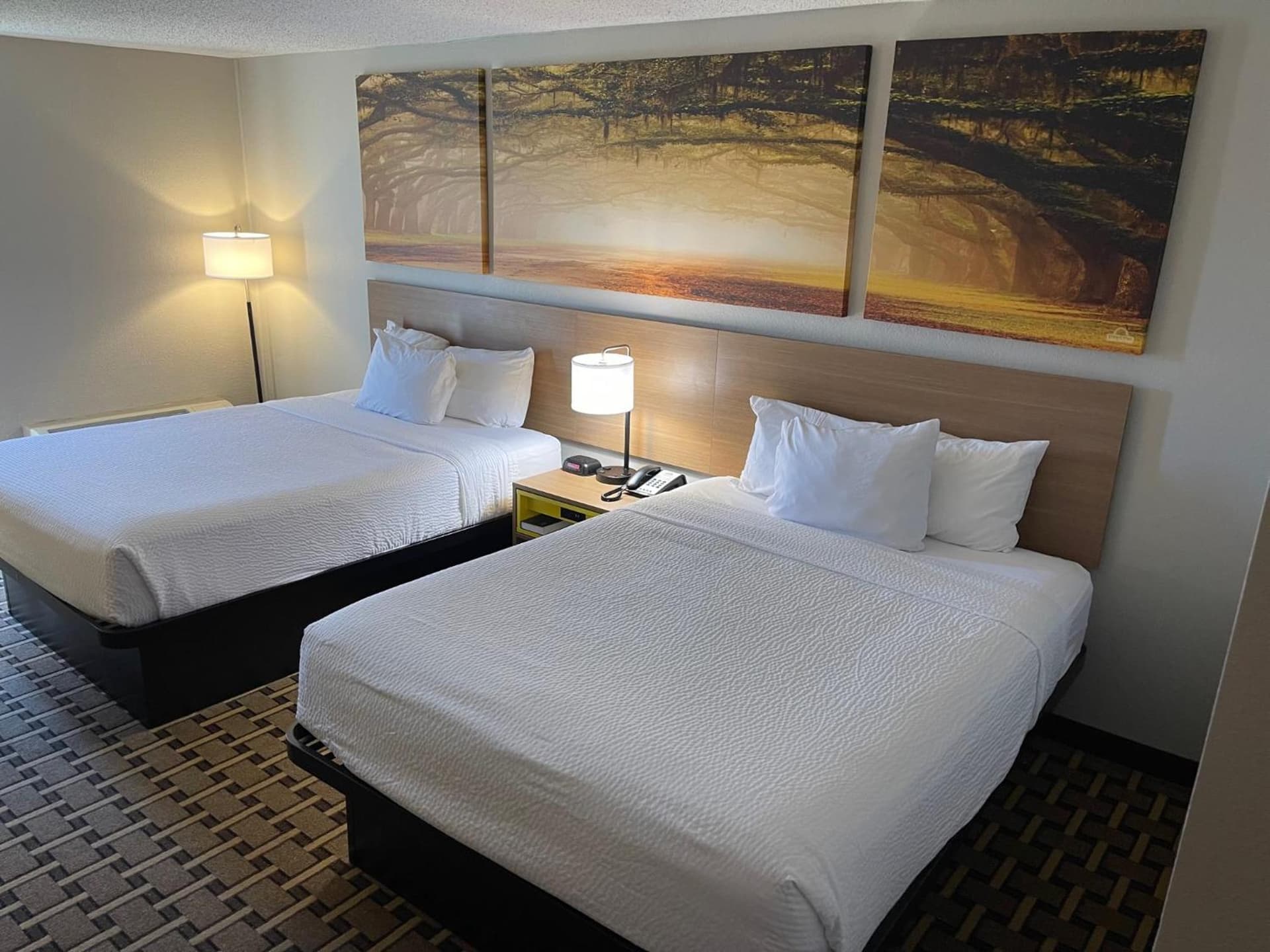 Days Inn by Wyndham Fayetteville-South/I-95 Exit 49 gallery photo in Fayetteville, NC — image 22