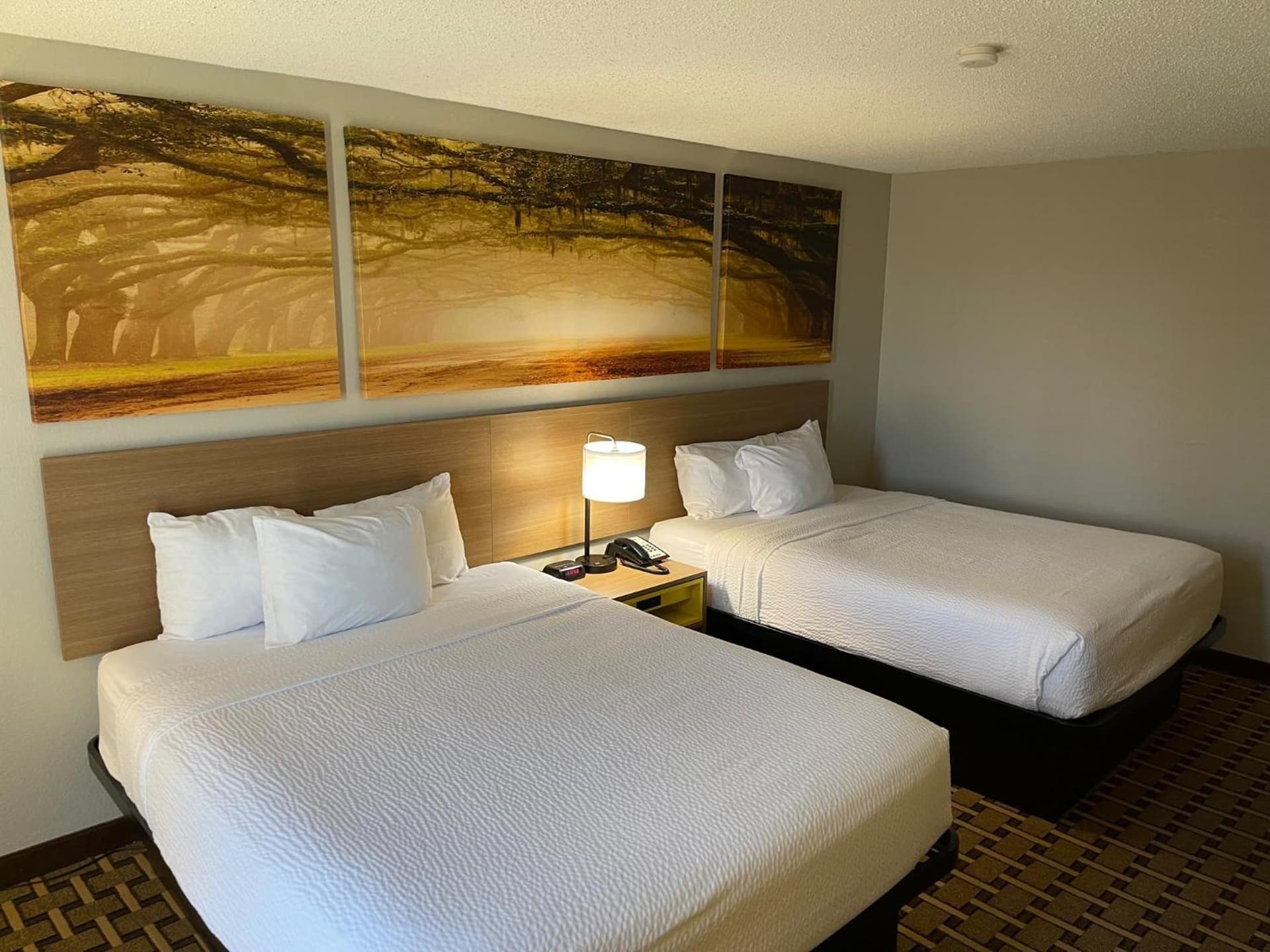 Days Inn by Wyndham Fayetteville-South/I-95 Exit 49 gallery photo in Fayetteville, NC — image 17