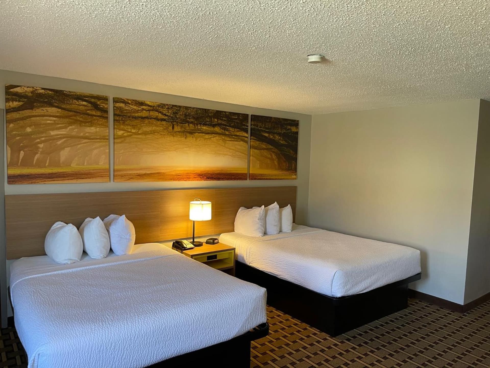 Days Inn by Wyndham Fayetteville-South/I-95 Exit 49 gallery photo in Fayetteville, NC — image 39