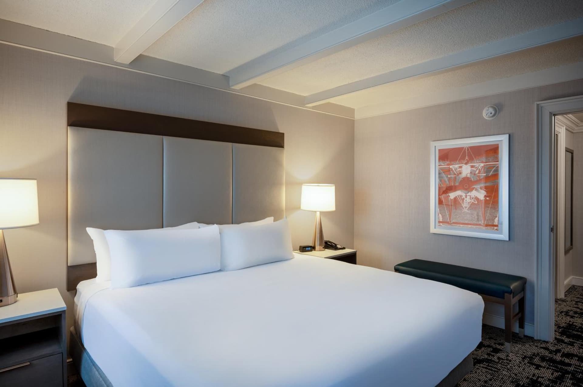 Crowne Plaza Albany - The Desmond Hotel property views in Albany, NY — gallery photo 3