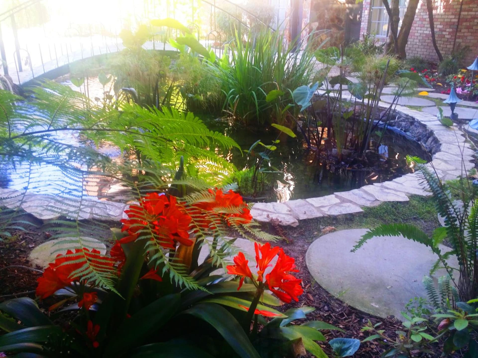 Anaheim Majestic Garden Hotel gallery photo in Anaheim, CA — image 17