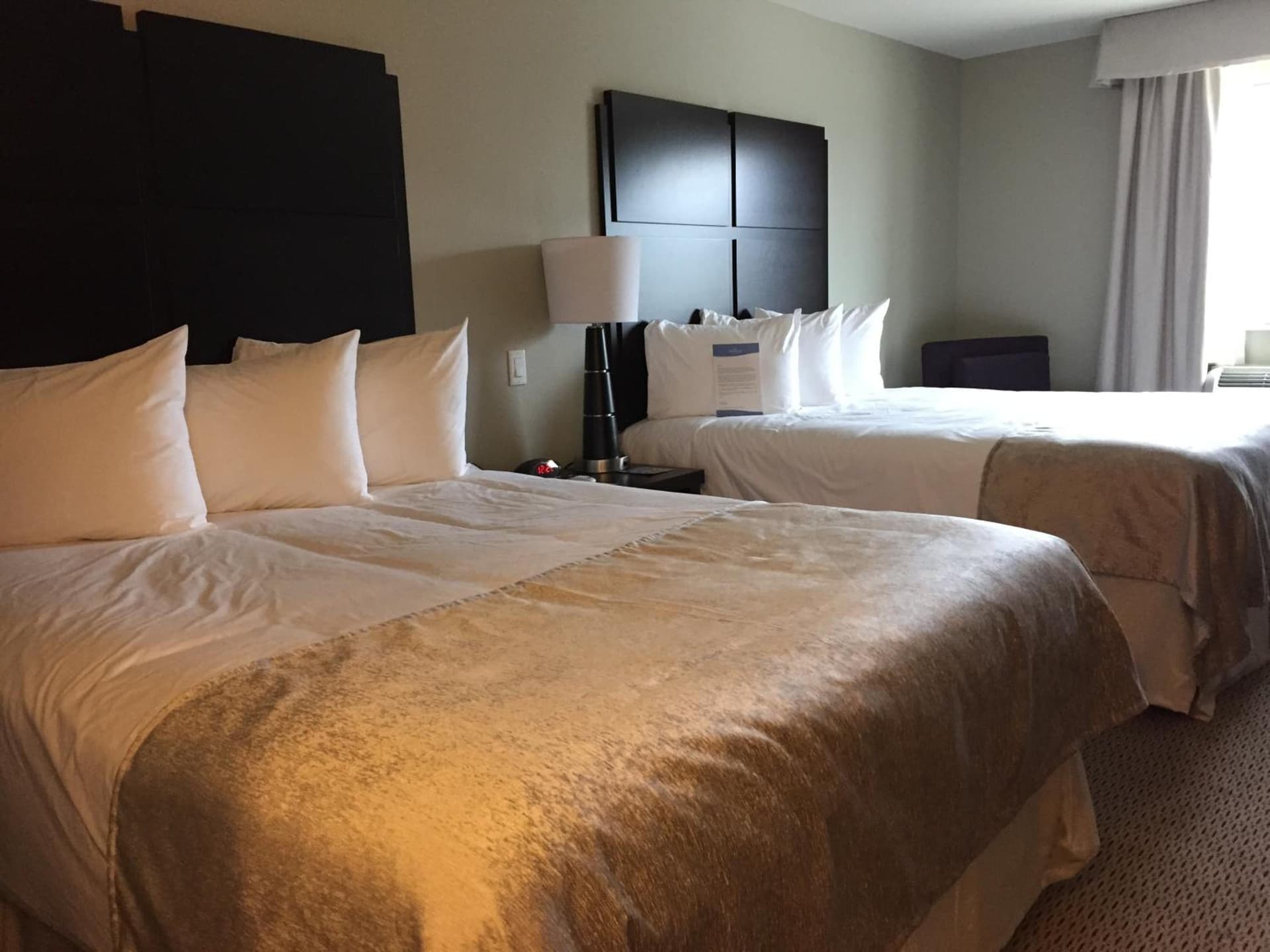 Baymont by Wyndham College Station gallery photo in College Station, TX — image 59