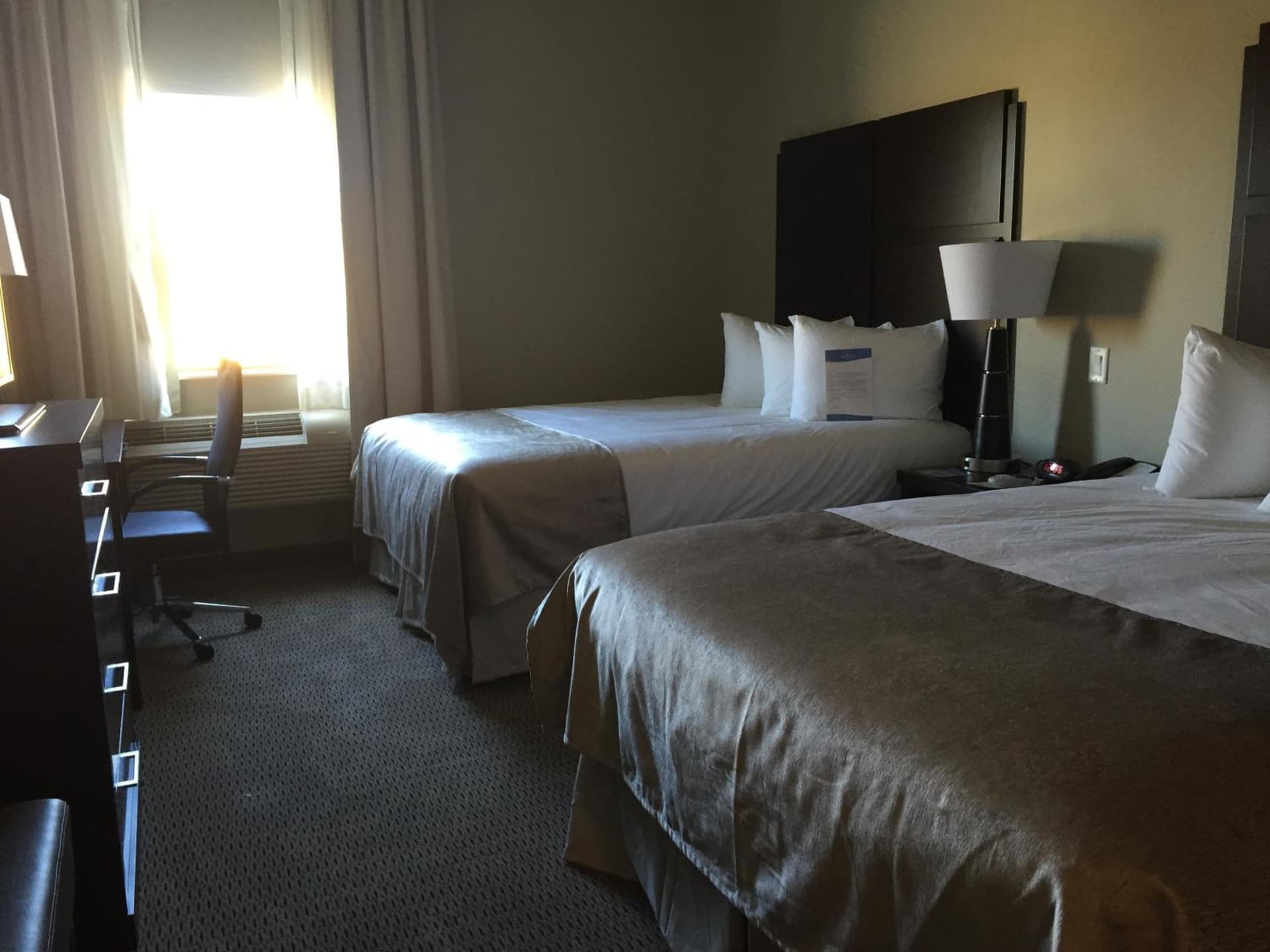 Baymont by Wyndham College Station gallery photo in College Station, TX — image 20