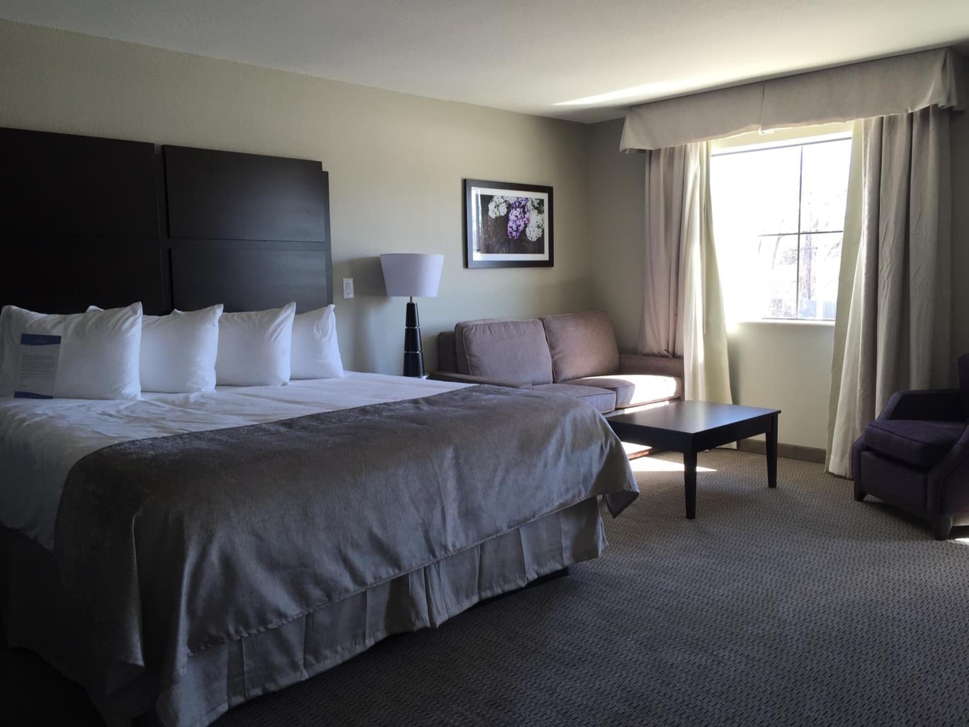 Baymont by Wyndham College Station gallery photo in College Station, TX — image 16
