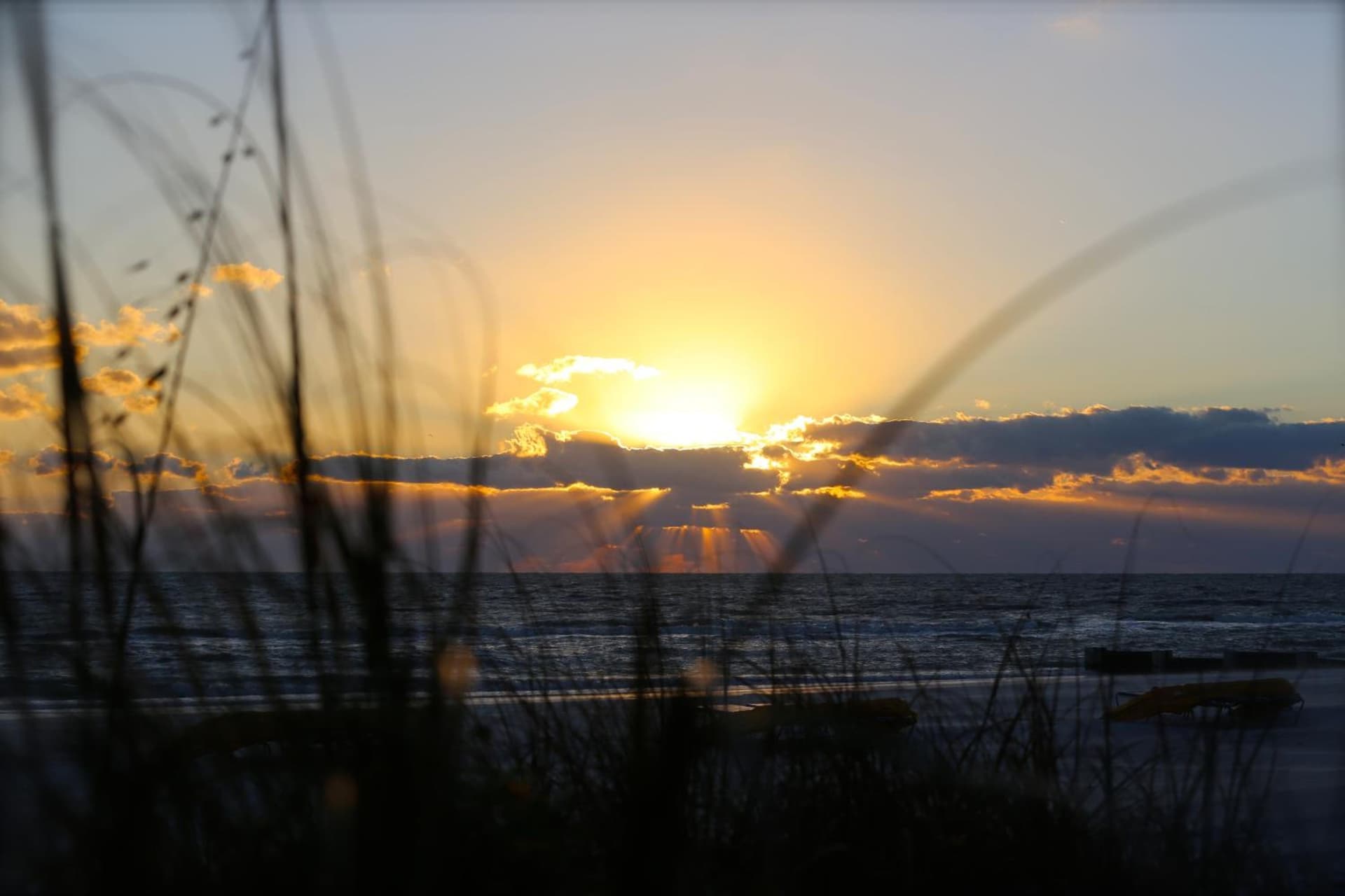 Shoreline Island Resort - Exclusively Adult gallery photo in St Pete Beach, FL — image 19