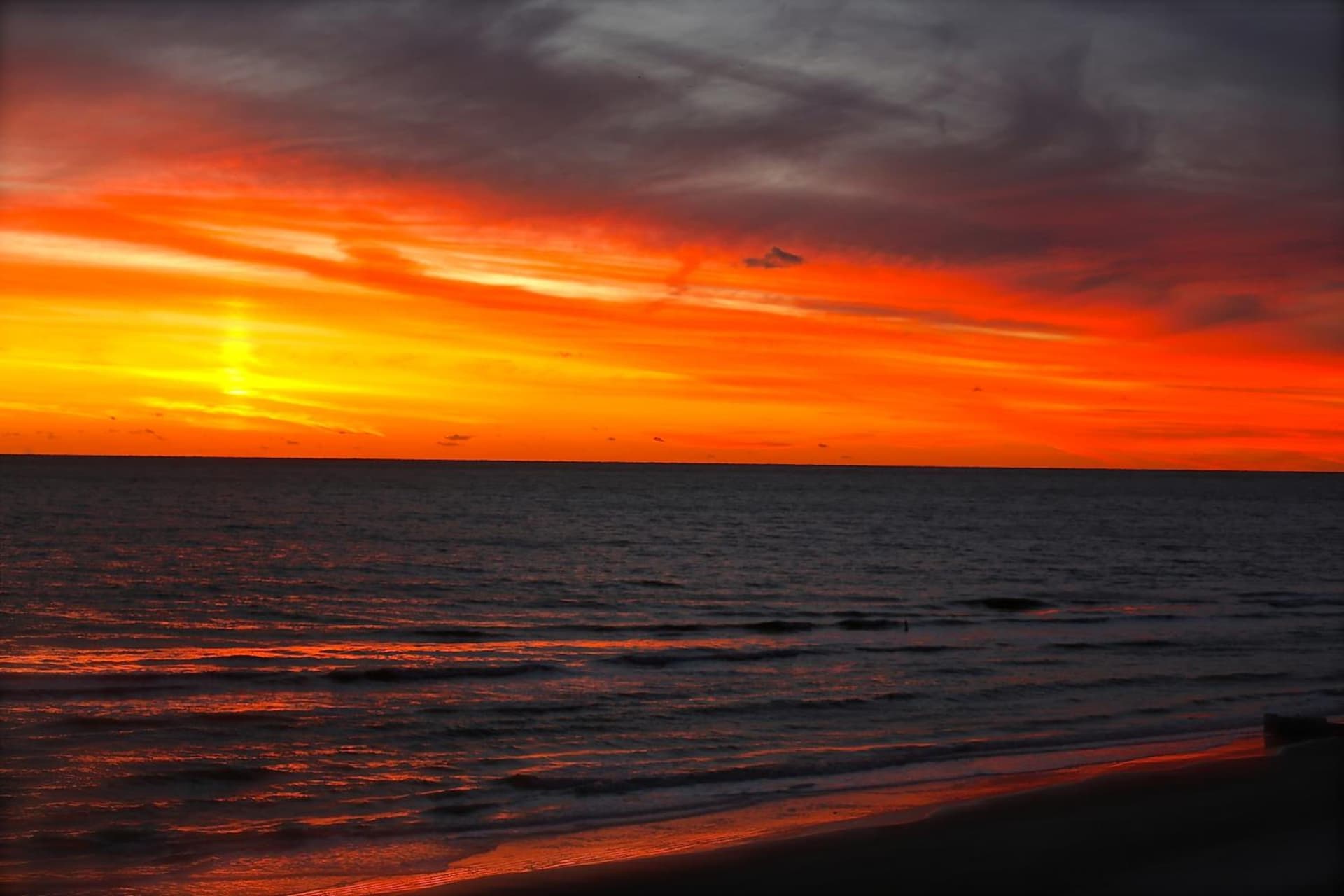 Shoreline Island Resort - Exclusively Adult gallery photo in St Pete Beach, FL — image 11