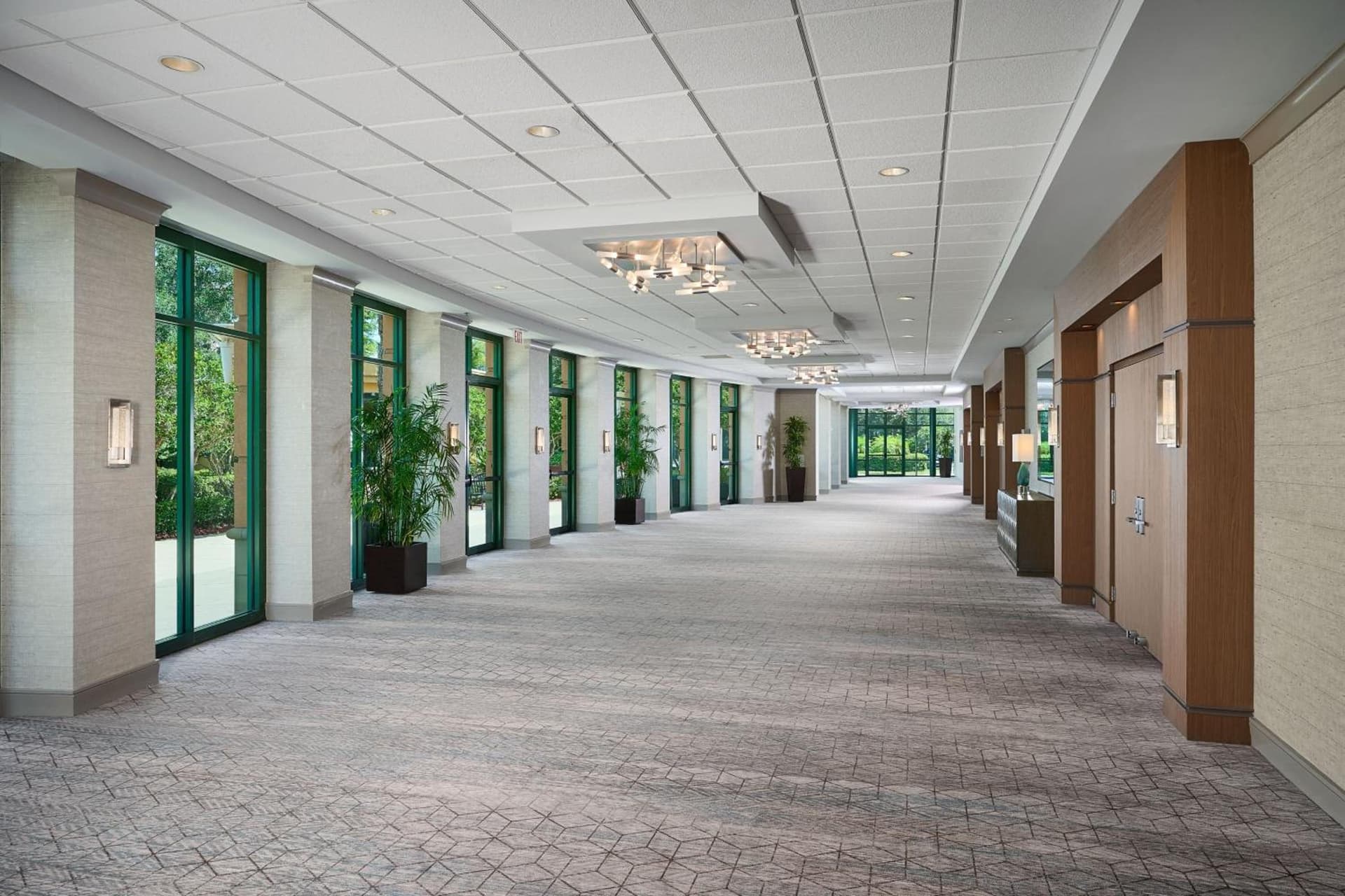 Orlando Marriott Lake Mary gallery photo in Lake Mary, FL — image 5
