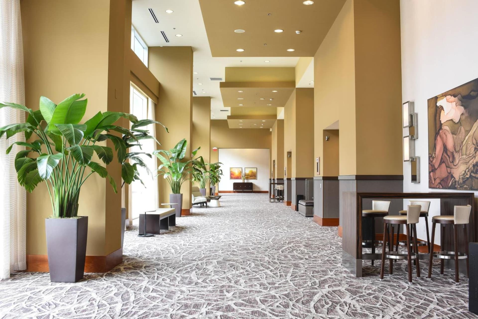 Raleigh Marriott City Center gallery photo in Raleigh, NC — image 12