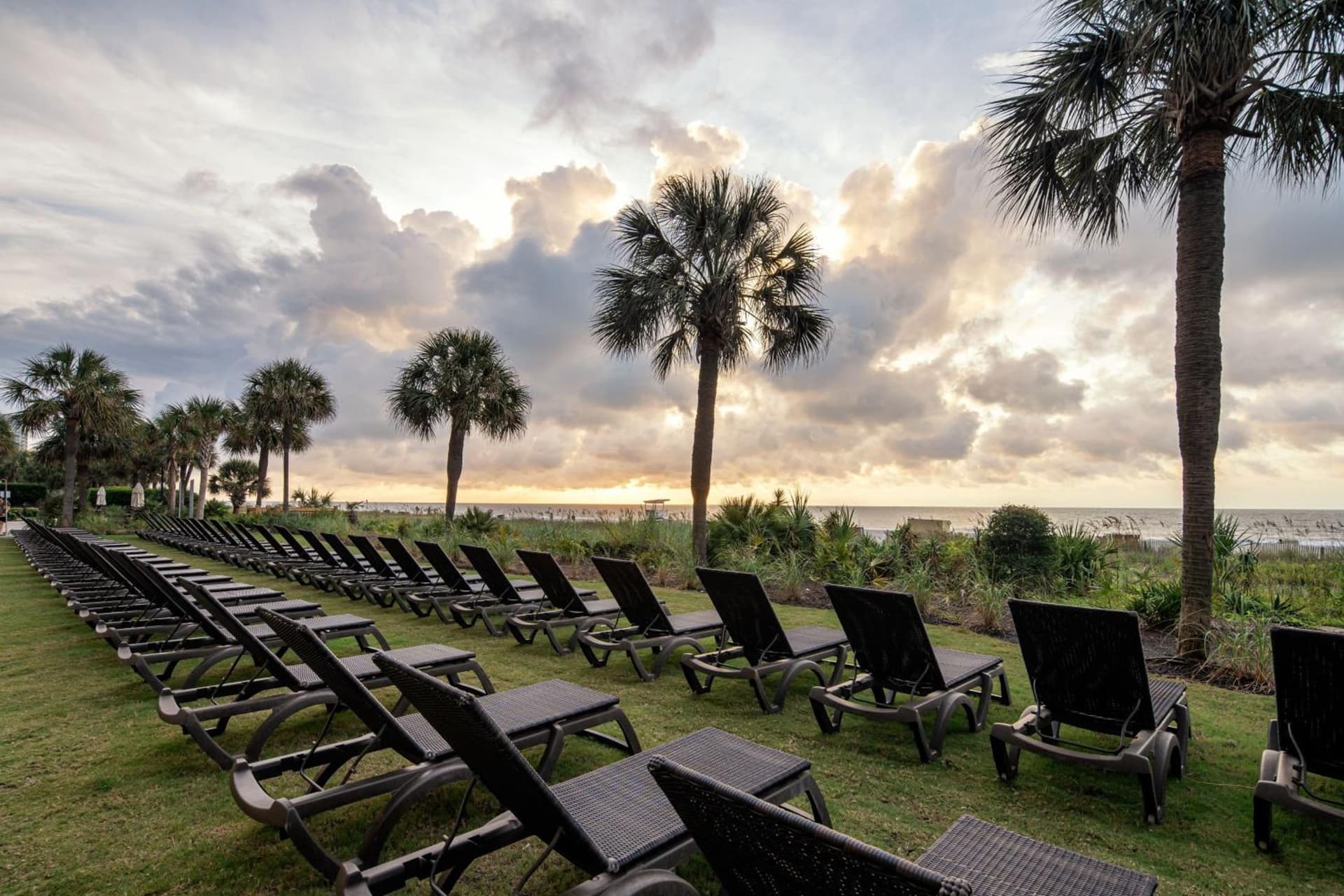 Courtyard by Marriott Myrtle Beach Oceanfront gallery photo in Myrtle Beach, SC — image 12
