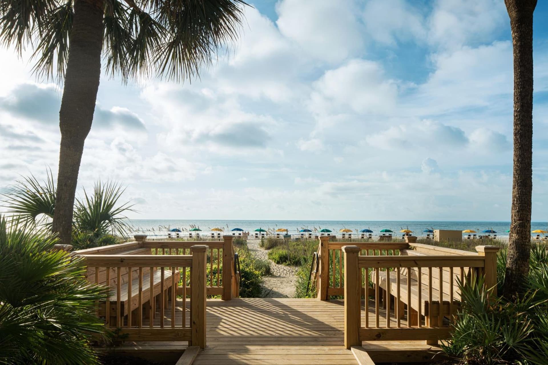 Courtyard by Marriott Myrtle Beach Oceanfront gallery photo in Myrtle Beach, SC — image 32