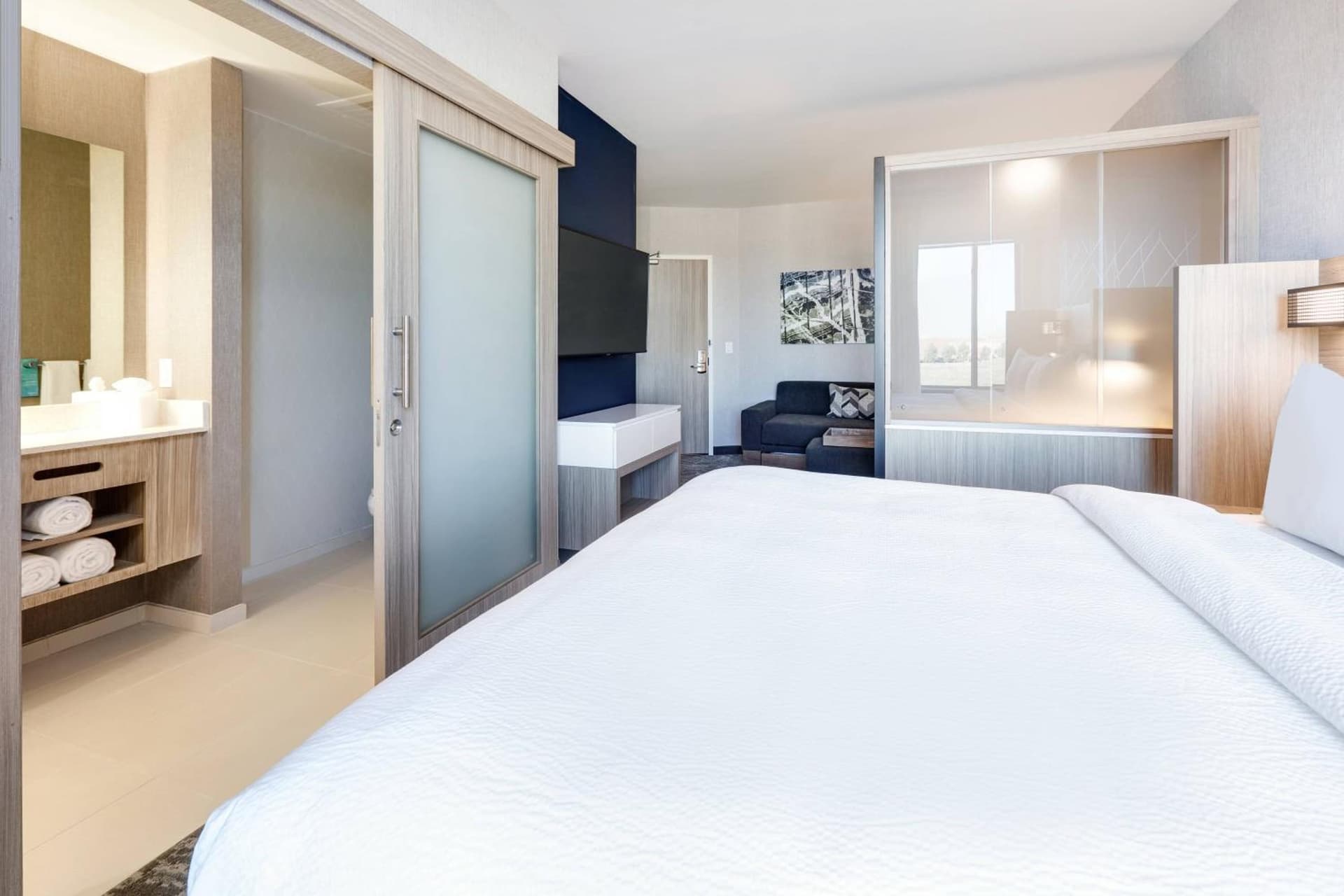 SpringHill Suites by Marriott Dallas Mansfield gallery photo in Mansfield, TX — image 12