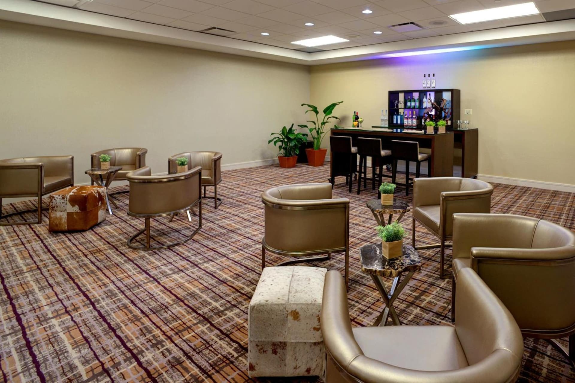 Houston Marriott North gallery photo in Houston, TX — image 49