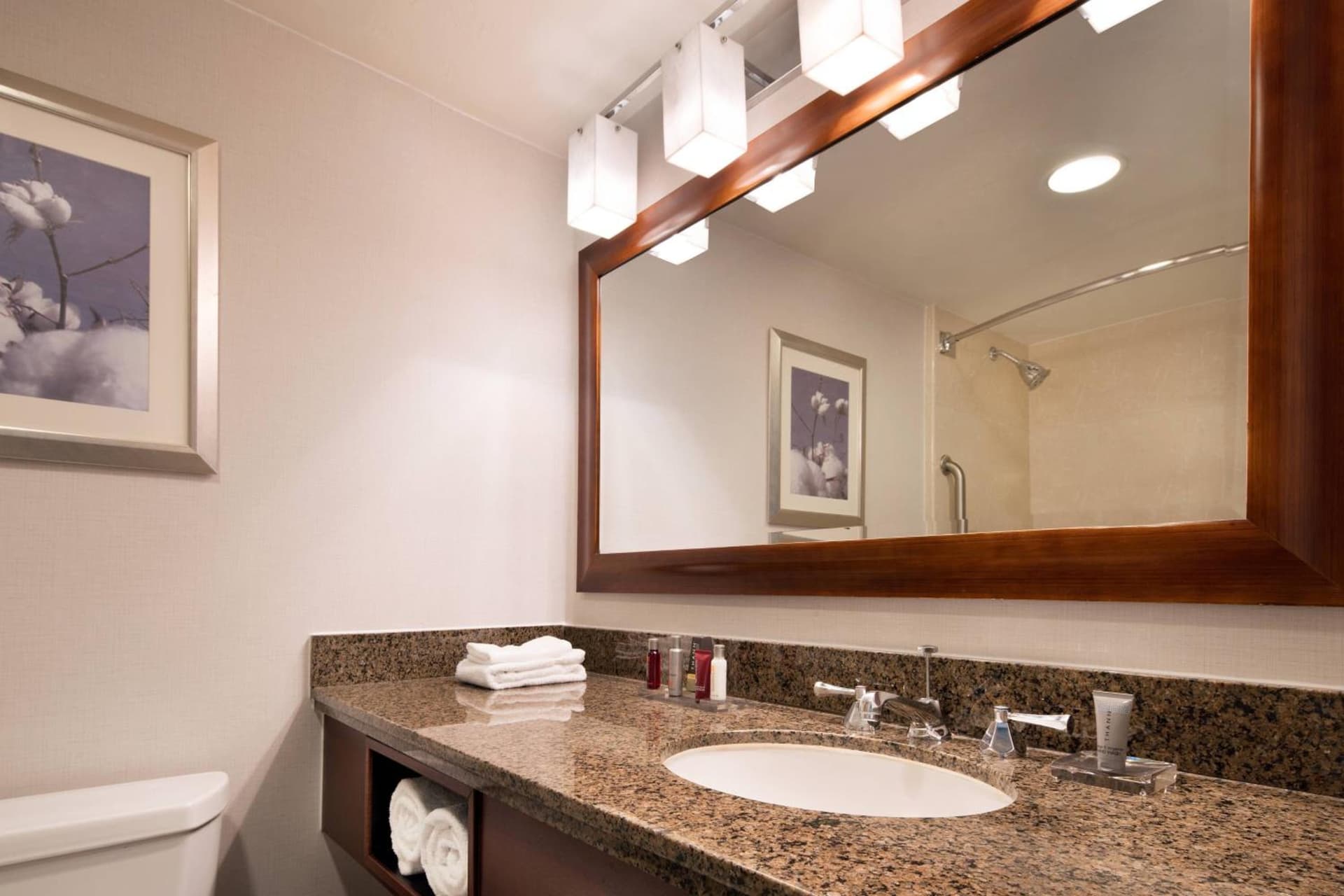 Bakersfield Marriott at the Convention Center gallery photo in Bakersfield, CA — image 14