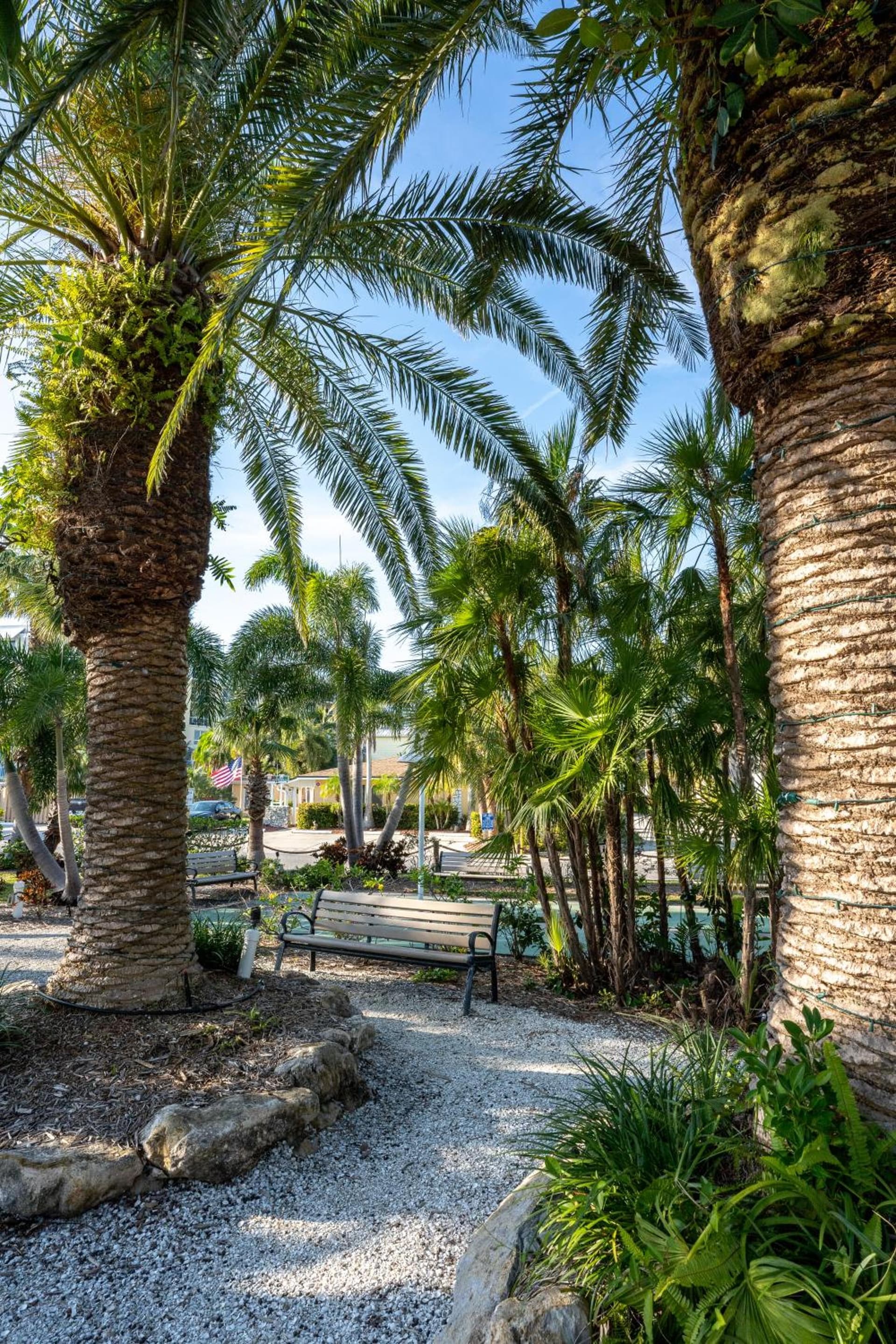 The Capri at Siesta gallery photo in Siesta Key, FL — image 159