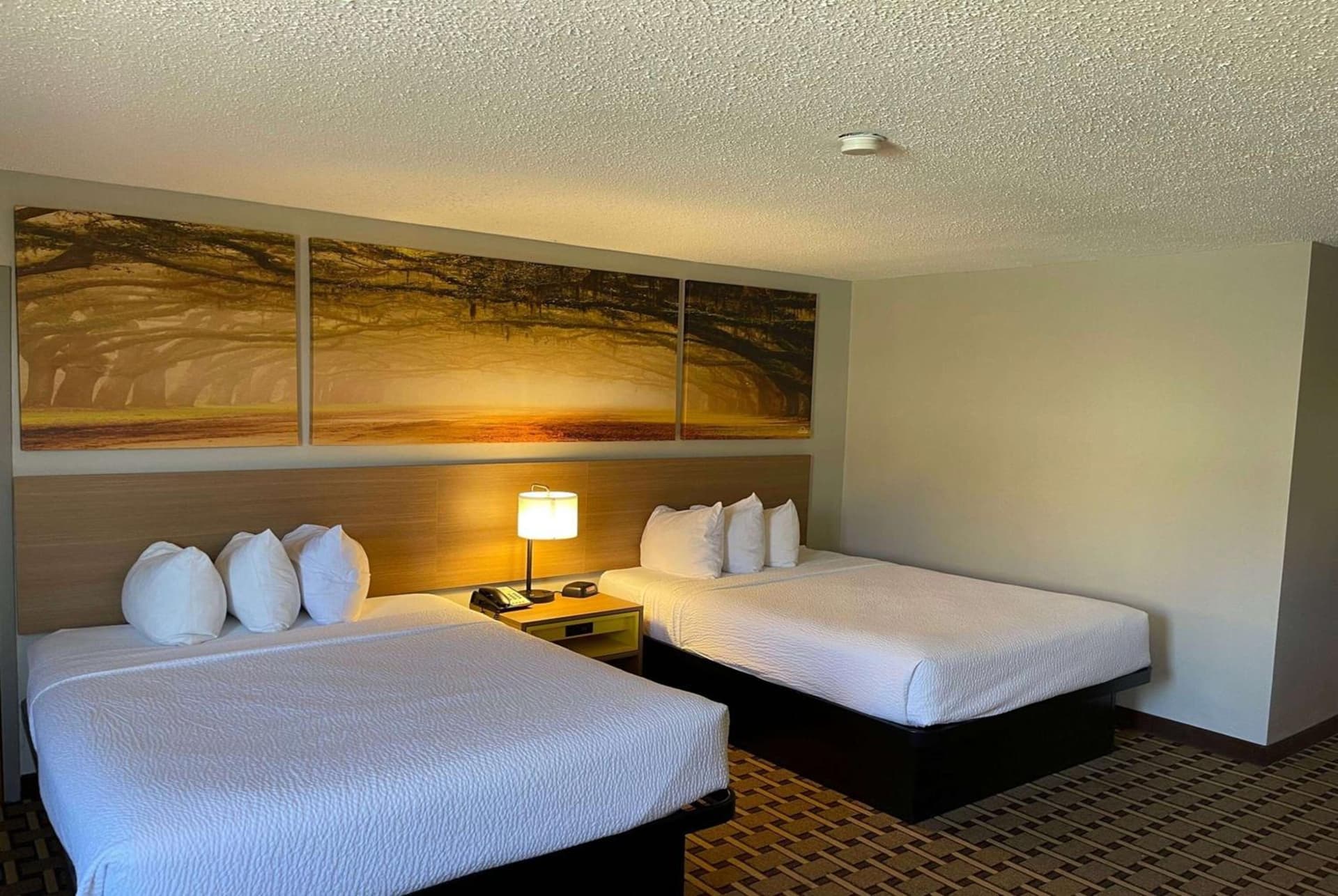Days Inn by Wyndham Fayetteville-South/I-95 Exit 49 property views in Fayetteville, NC — gallery photo 3