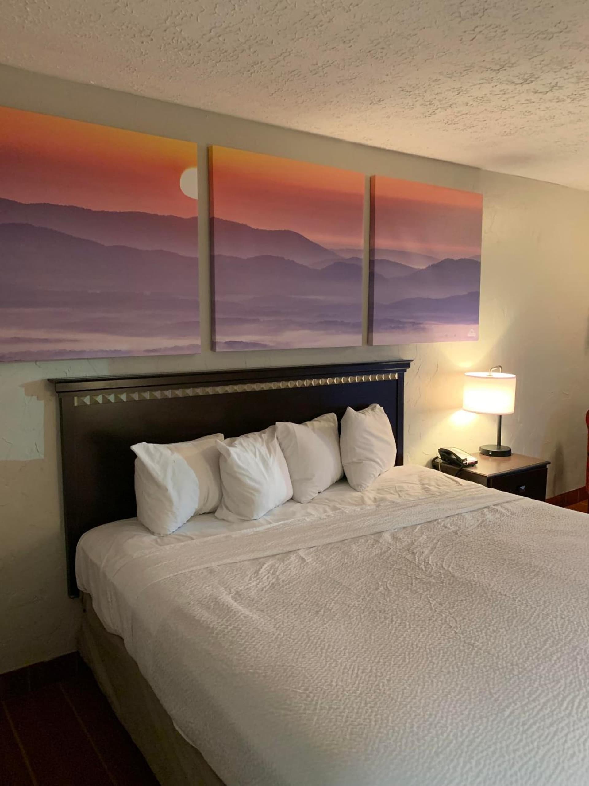 Days Inn by Wyndham Louisville Airport Fair and Expo Center gallery photo in Louisville, KY — image 31