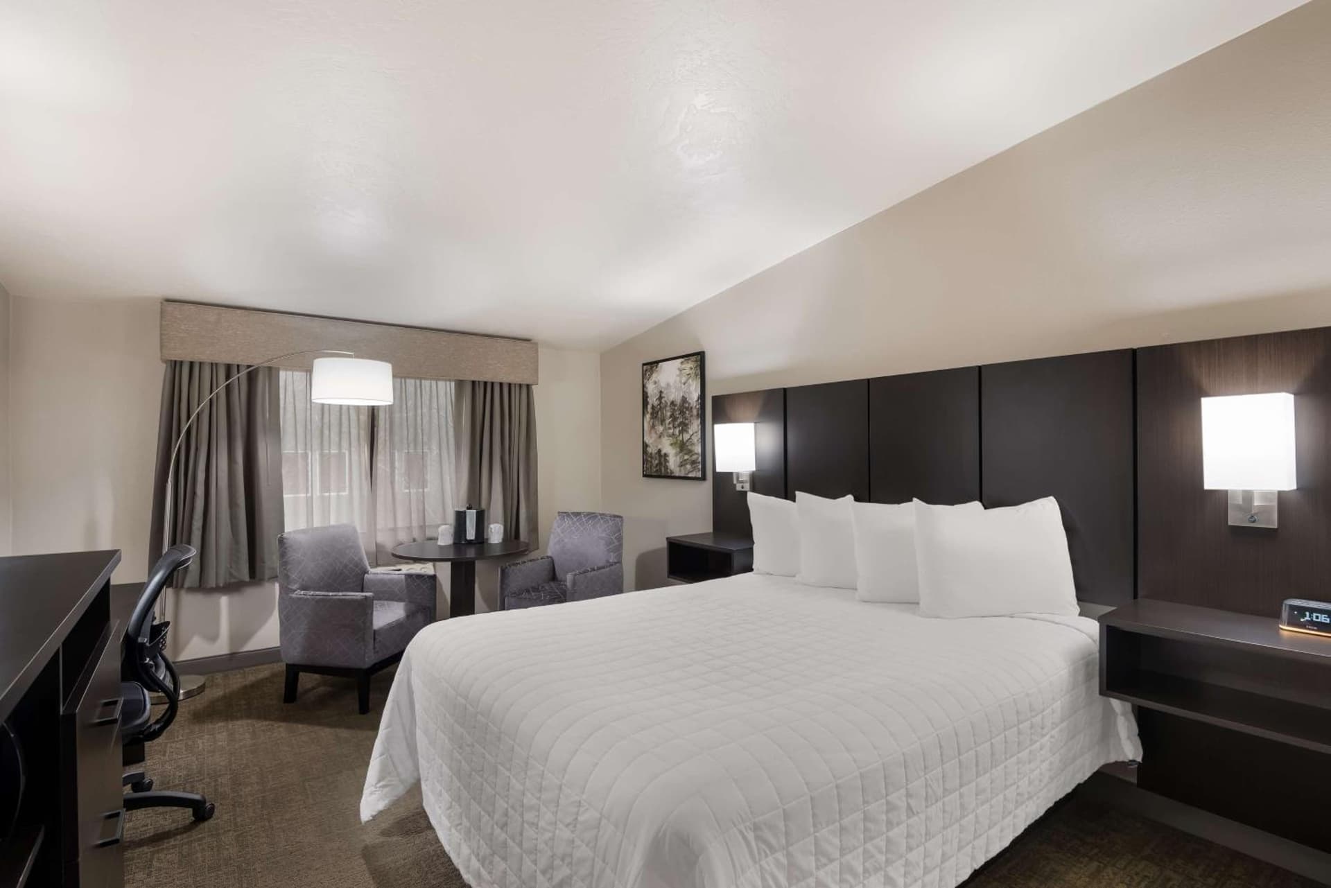 Best Western New Oregon Motel gallery photo in Eugene, OR — image 39